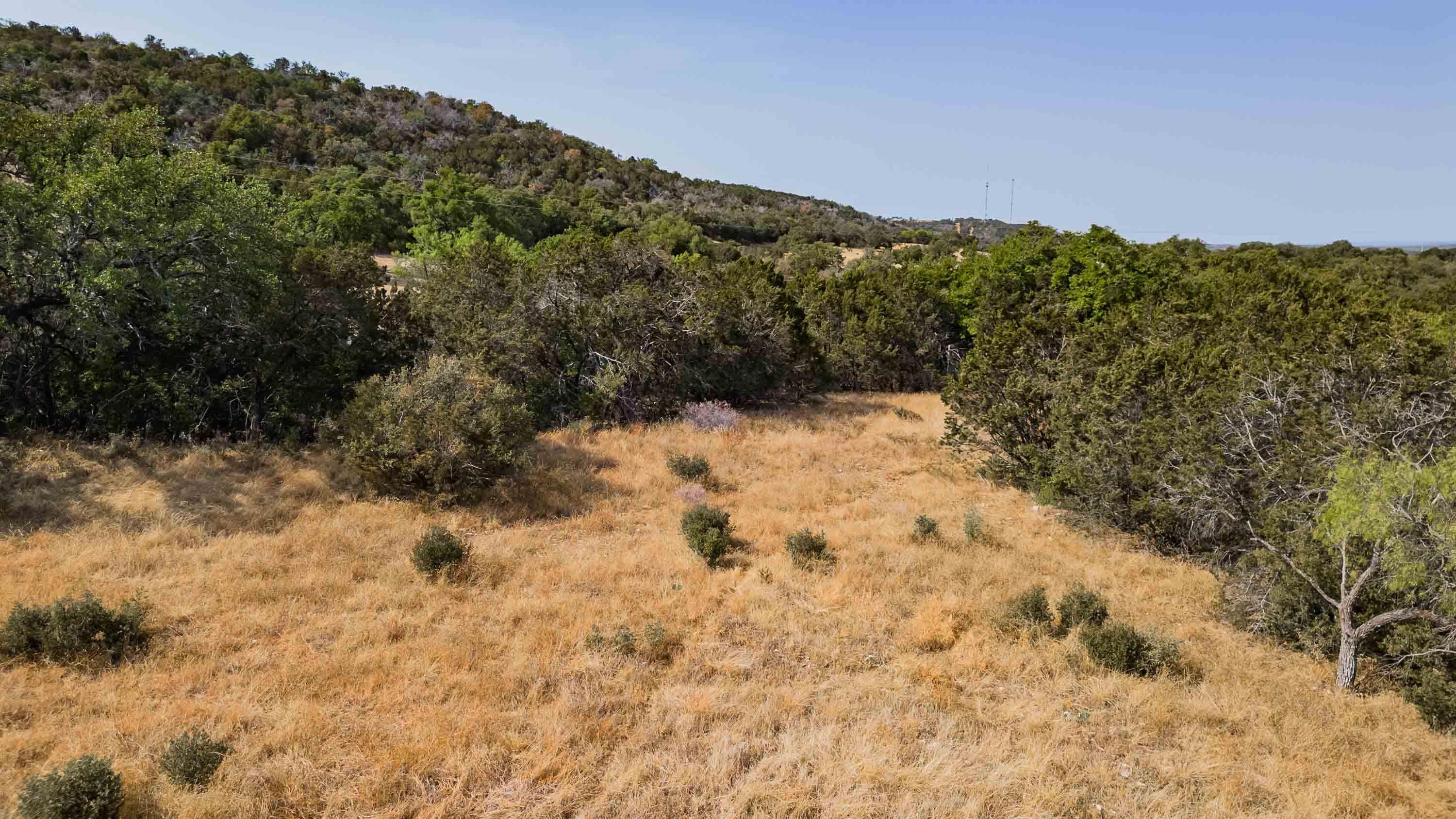 429 Quarter Horse Circle Property Photo 14