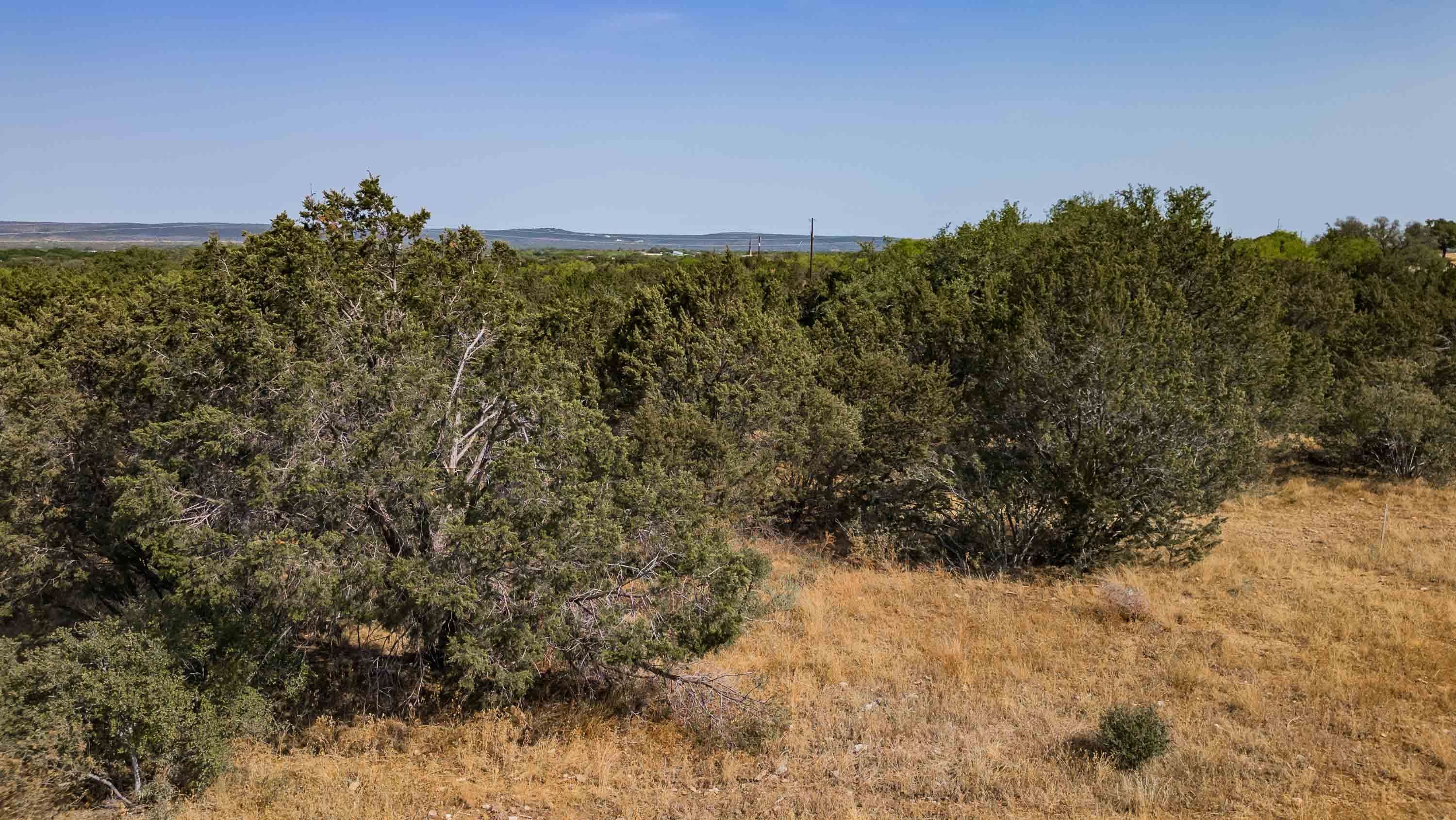 429 Quarter Horse Circle Property Photo 15