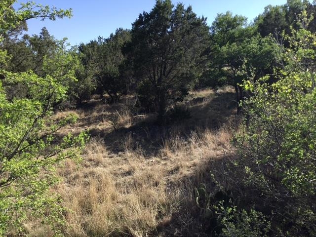 Lot 27087 Pinto/hi Mesa Property Photo 1