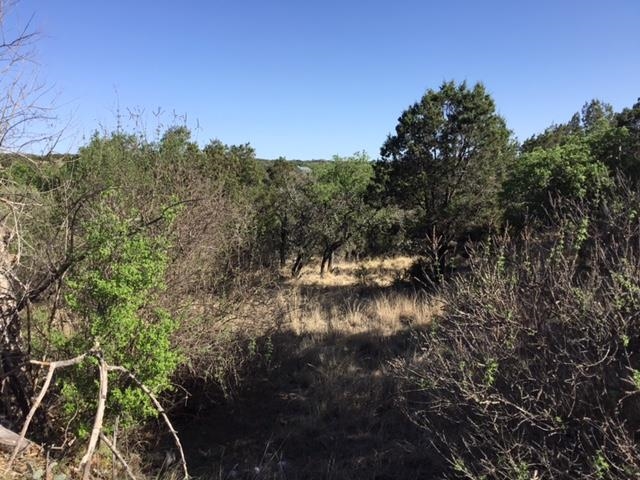 Lot 27087 Pinto/hi Mesa Property Photo 2