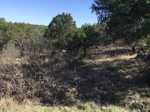 Lot 27087 Pinto/hi Mesa Property Photo 3