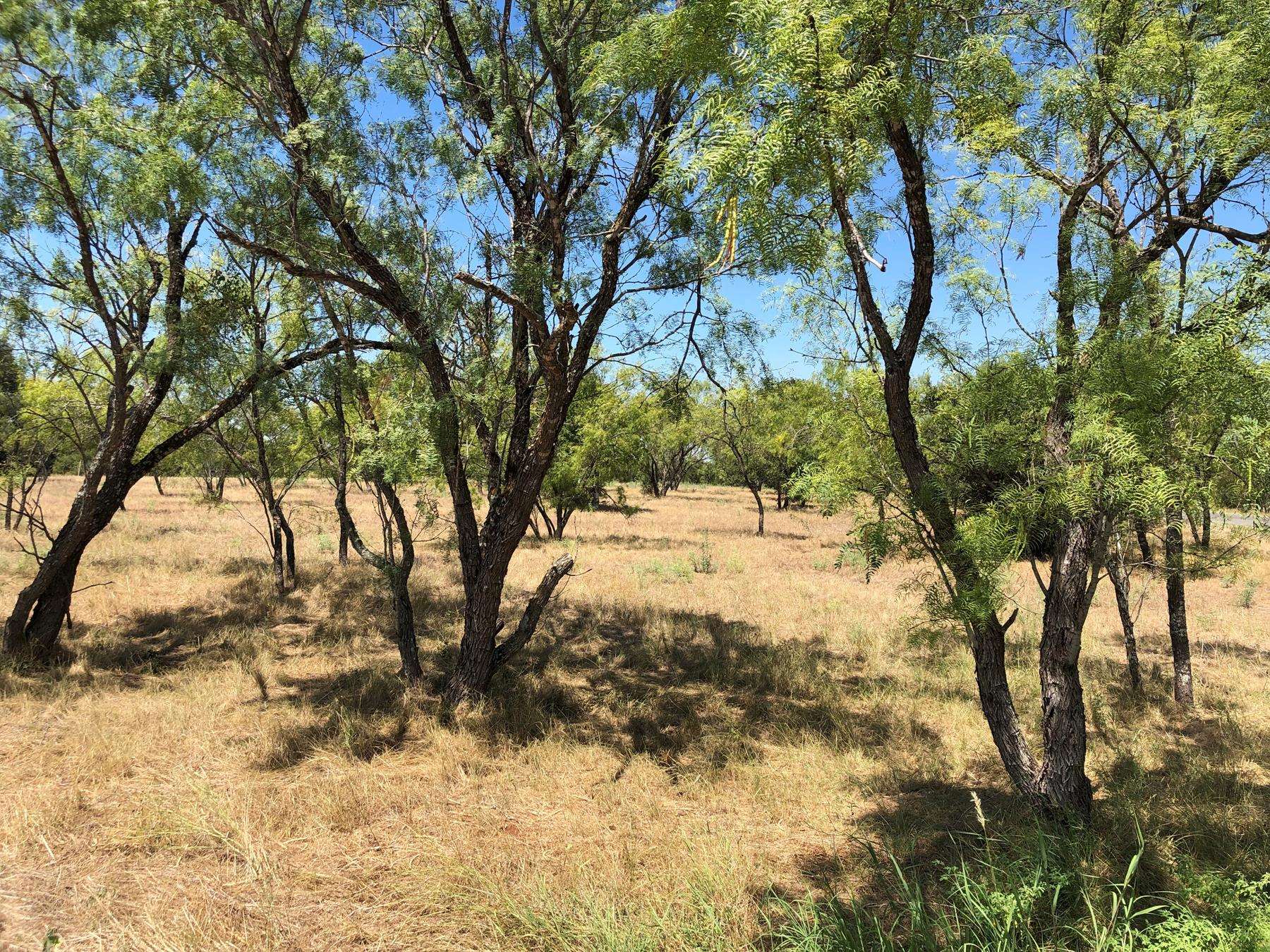100 Little Bit Property Photo 1