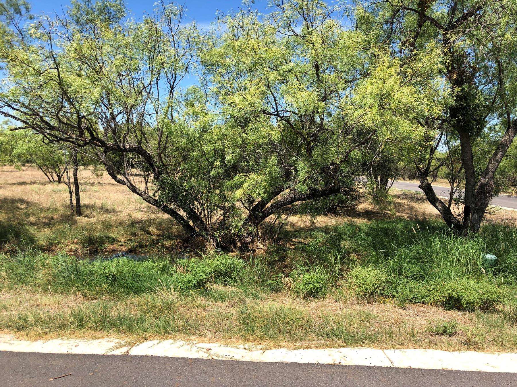 100 Little Bit Property Photo 2