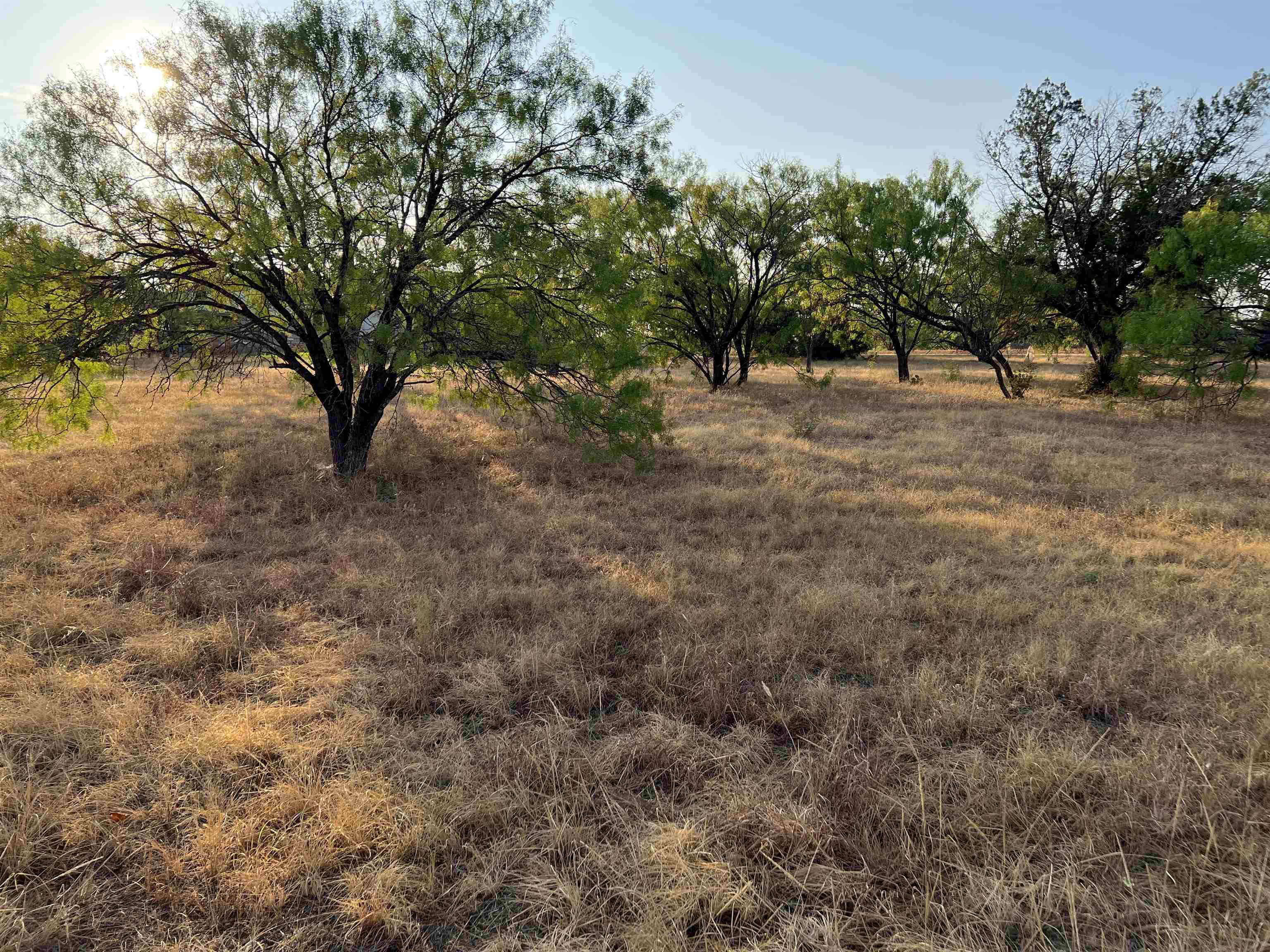 1048a Fire Rock Property Photo 4