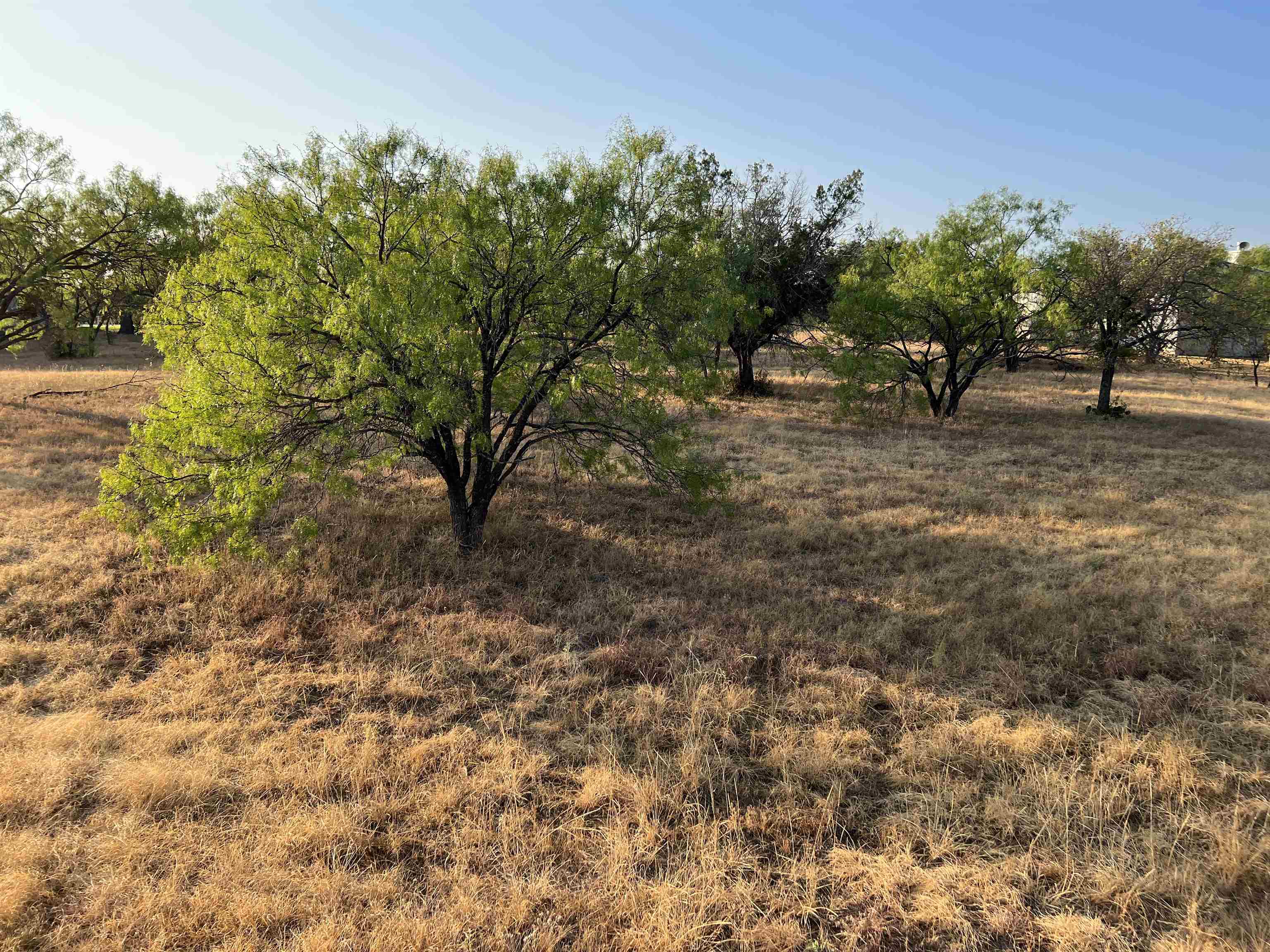 1048a Fire Rock Property Photo 5