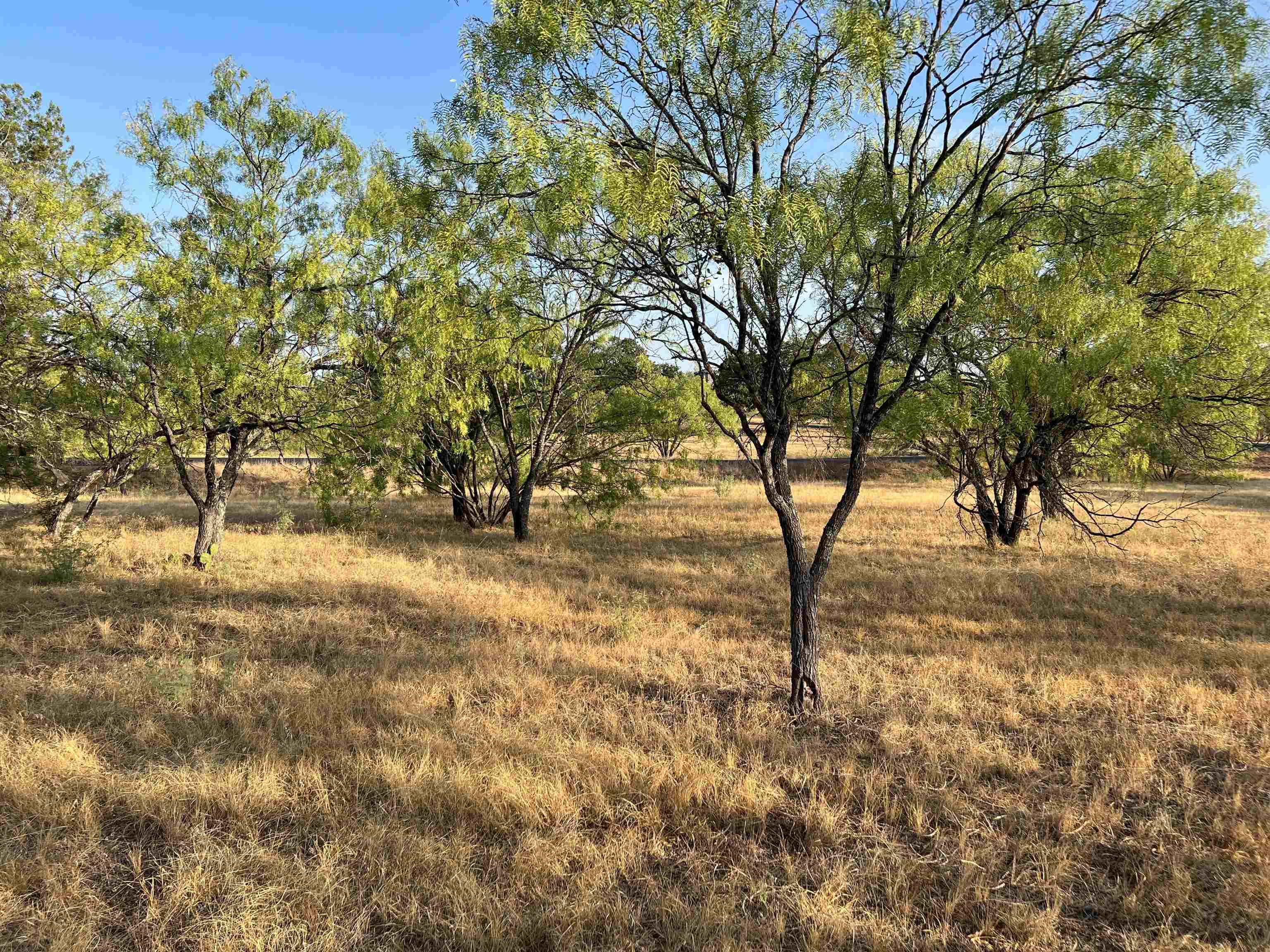 1048a Fire Rock Property Photo 8