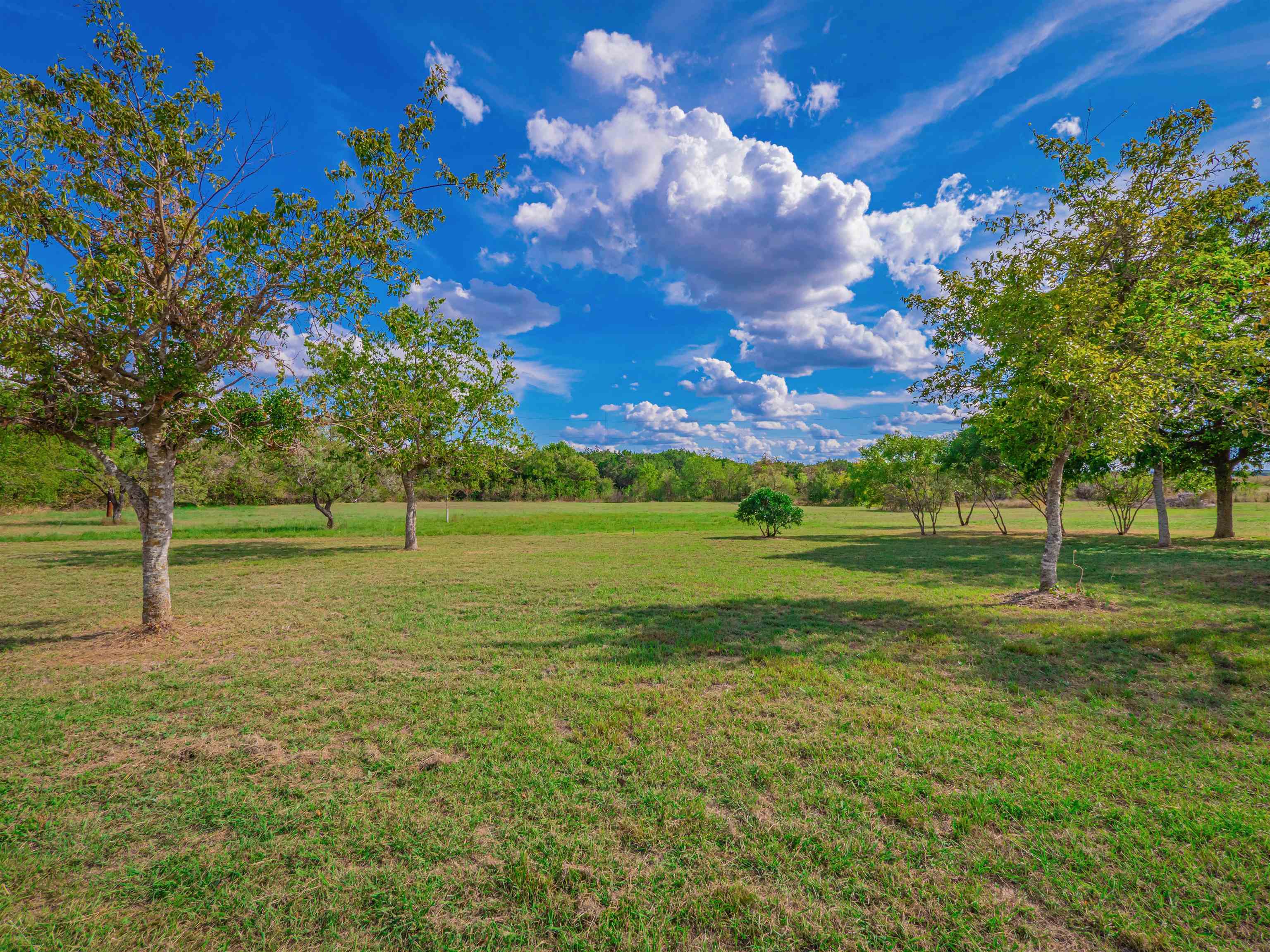 505 County Road 274 Property Photo 21