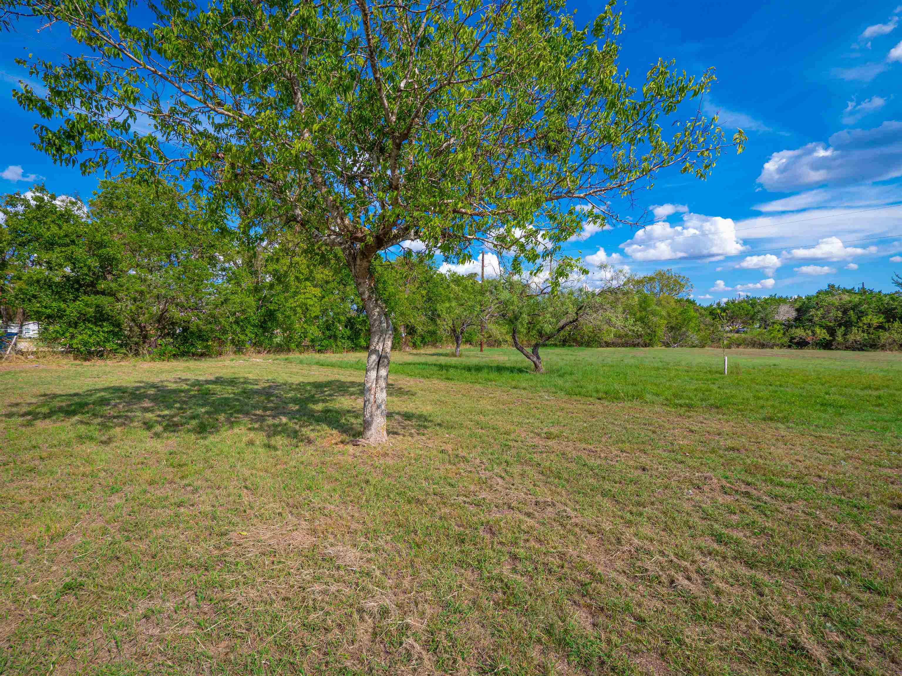 505 County Road 274 Property Photo 22