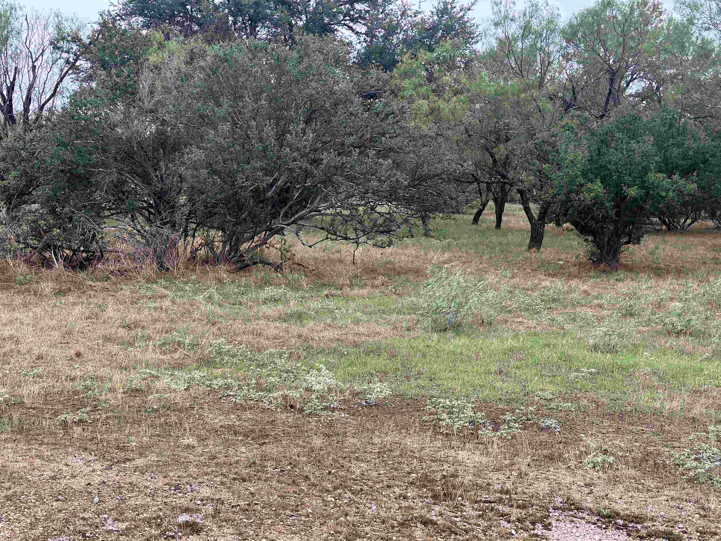 108 Winchester Property Photo 3