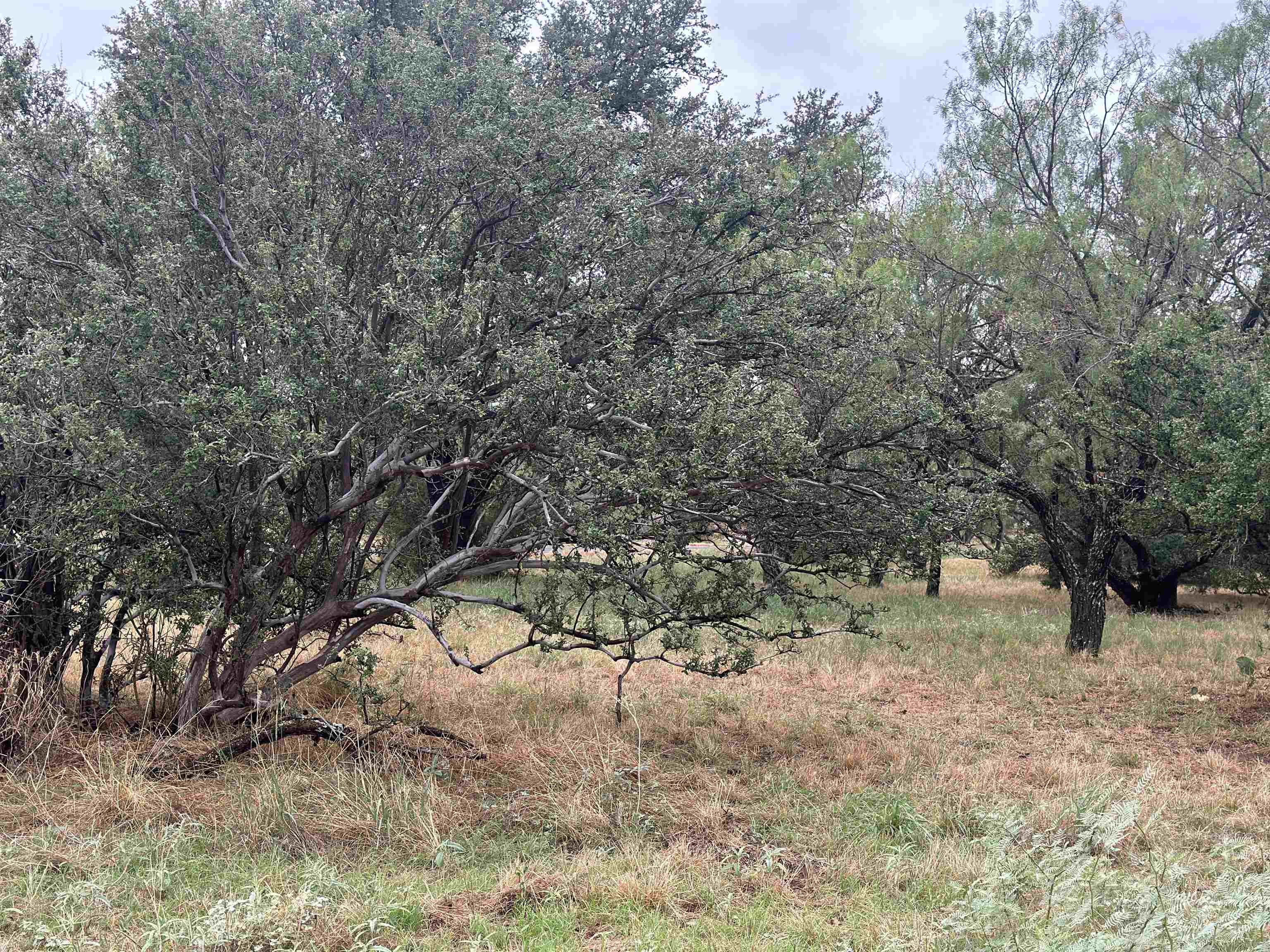 108 Winchester Property Photo 4