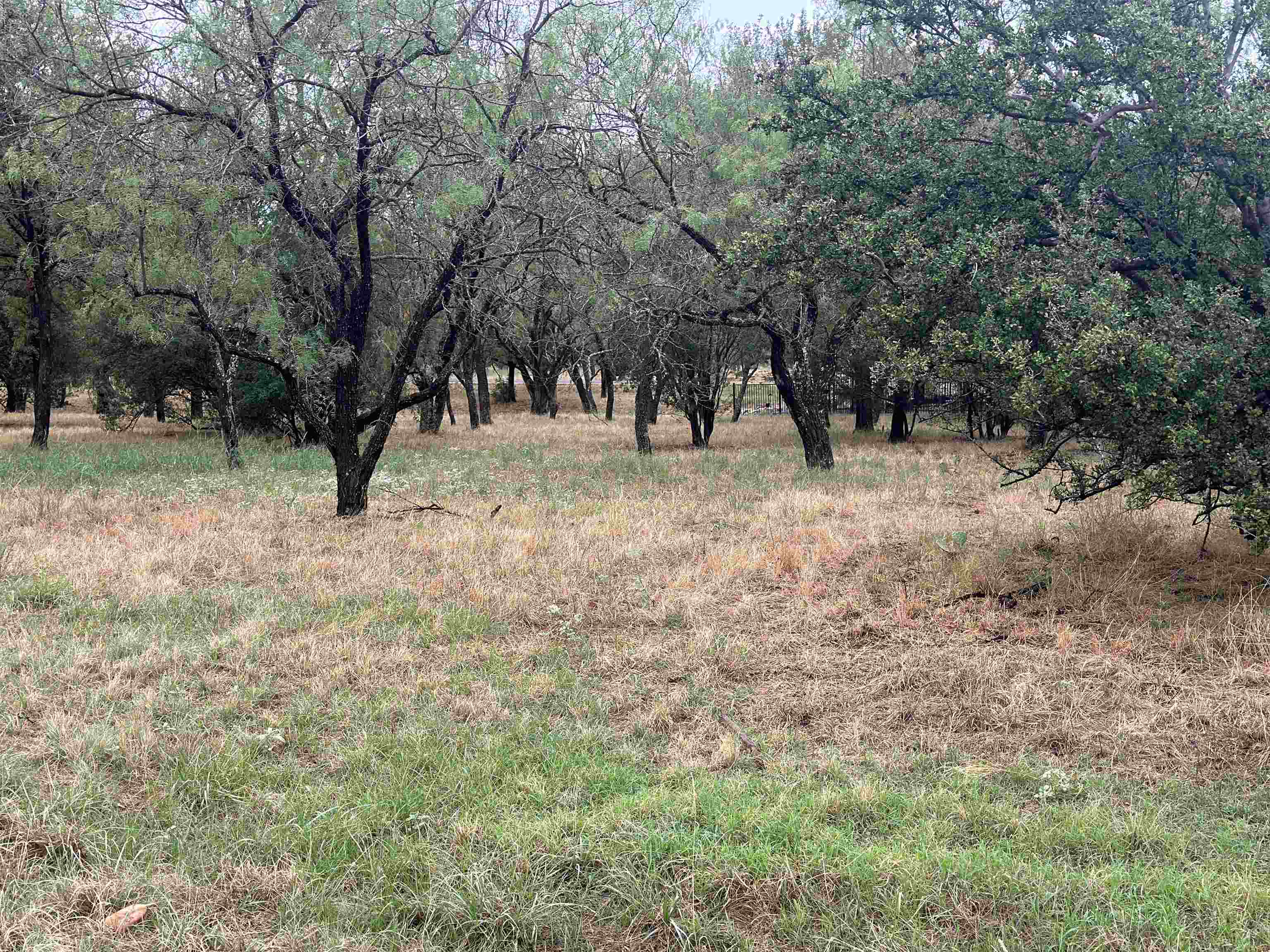 108 Winchester Property Photo 5