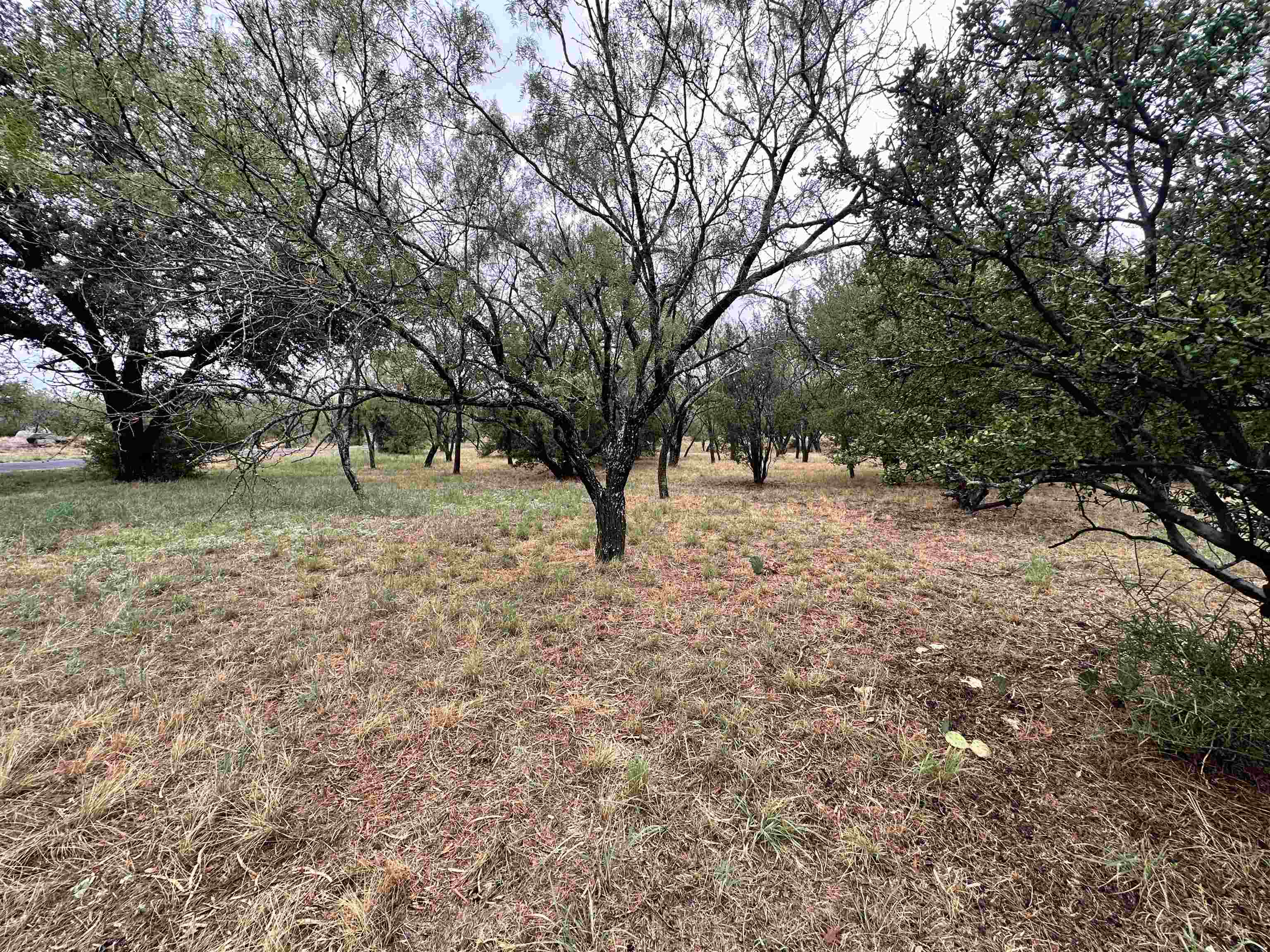 108 Winchester Property Photo 8