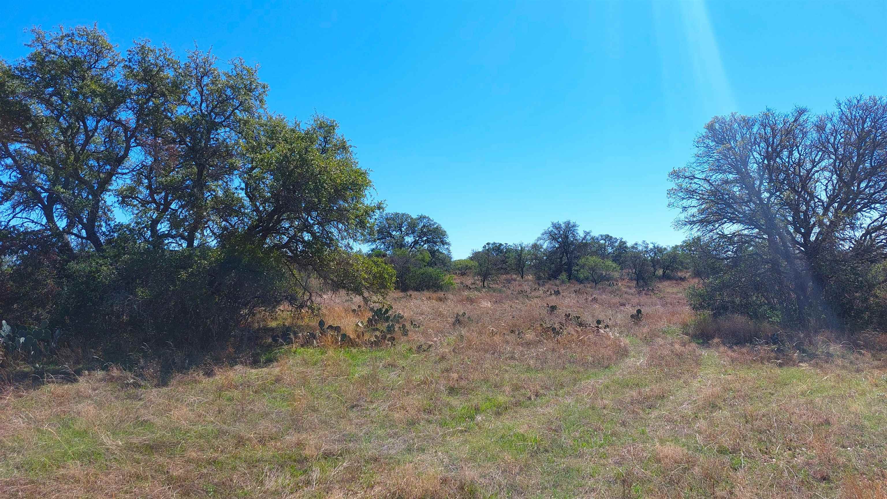 268 Valley Ranch Circle Property Photo 29