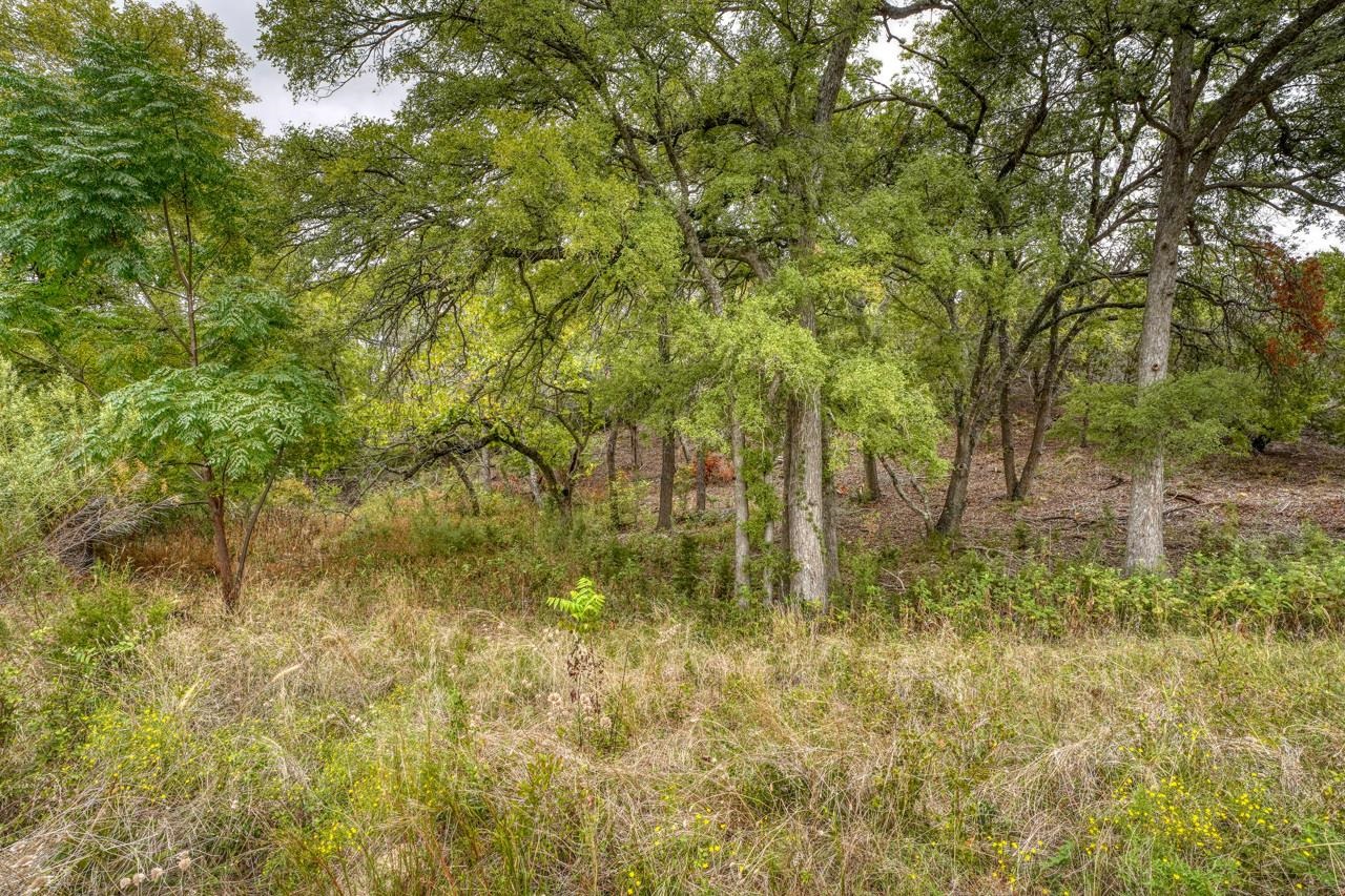 362 Saddle Ridge Drive Property Photo 8