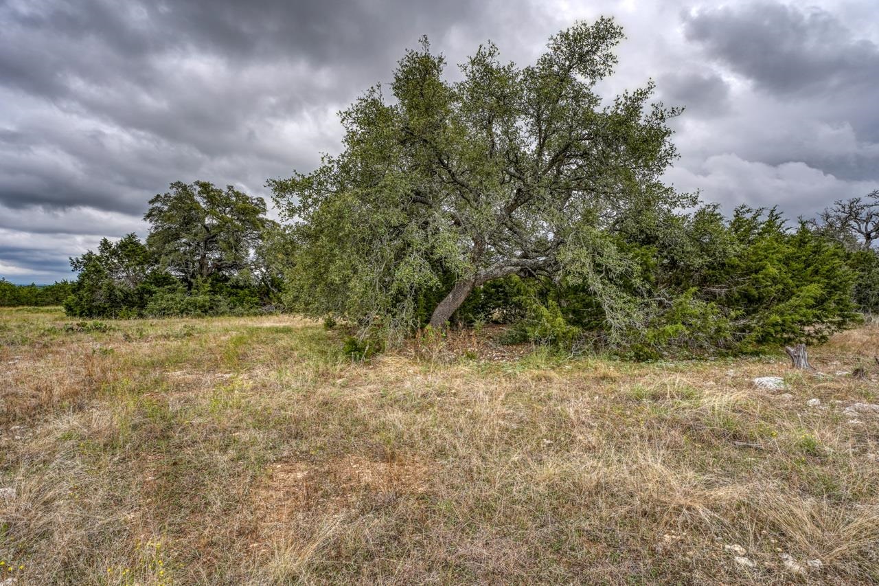 362 Saddle Ridge Drive Property Photo 14