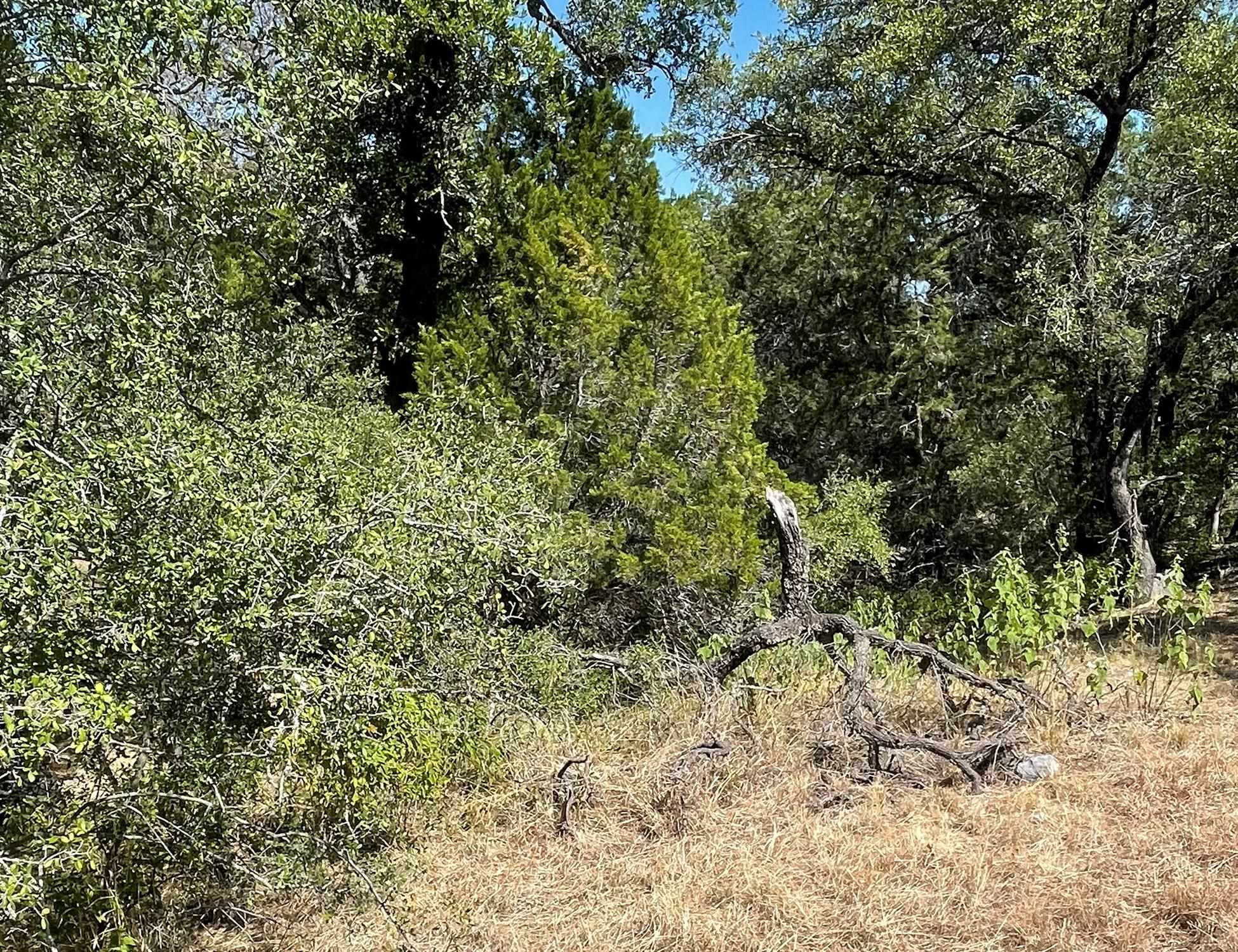 Lot K13024 Range Rider Property Photo 1