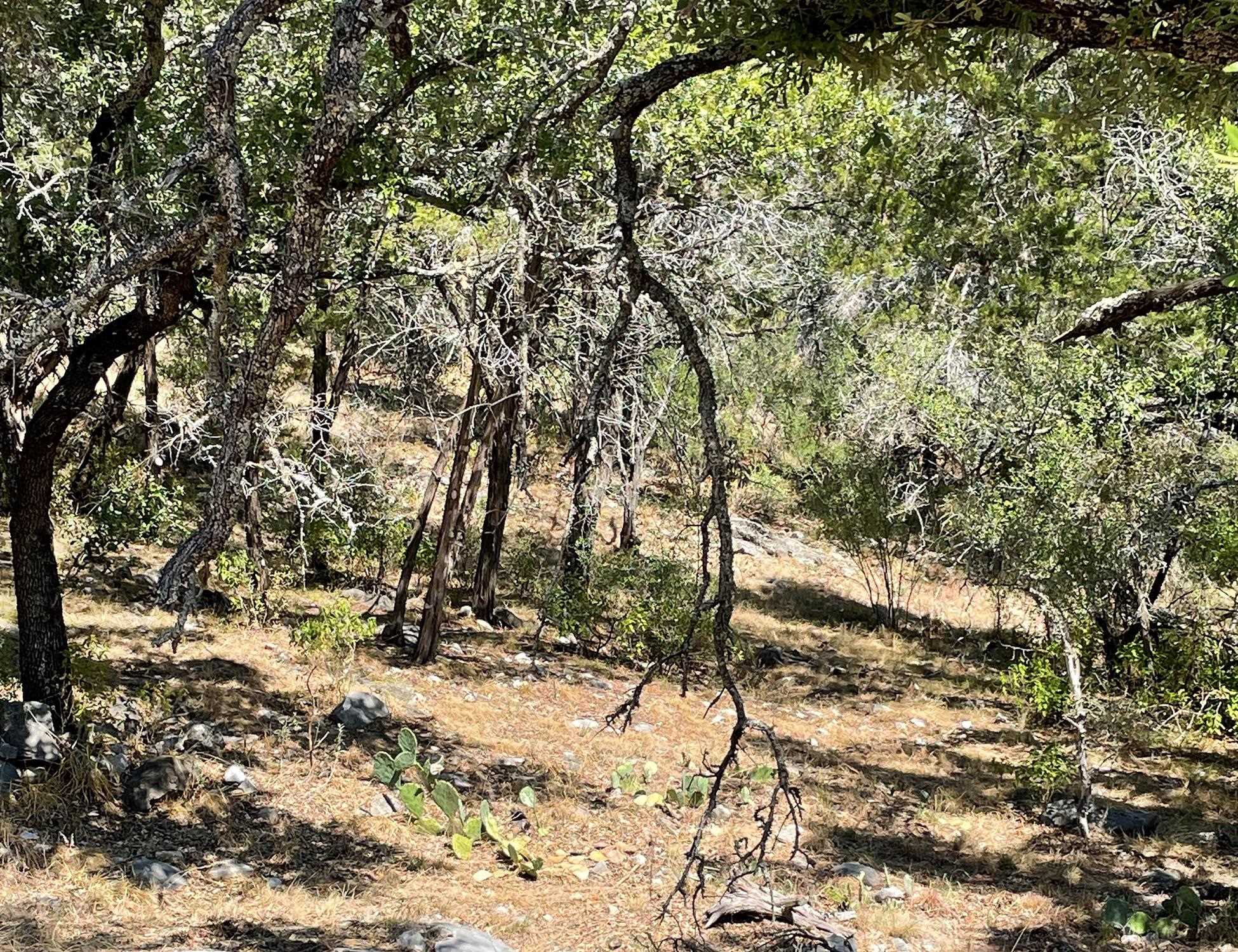 Lot K13024 Range Rider Property Photo 2