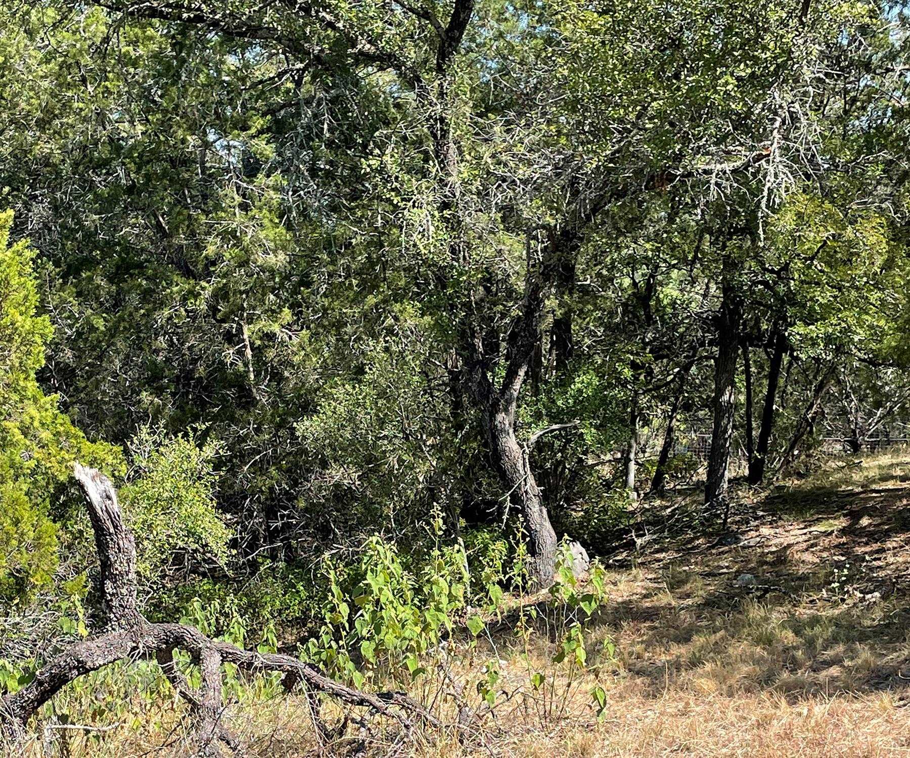 Lot K13024 Range Rider Property Photo 3