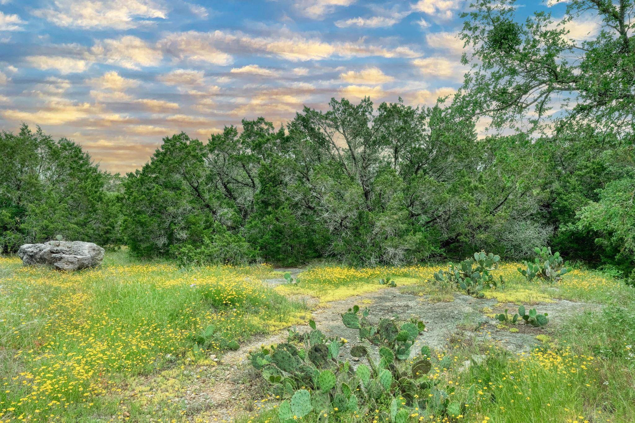 1107 Jennings Branch Rd Road Property Photo 25