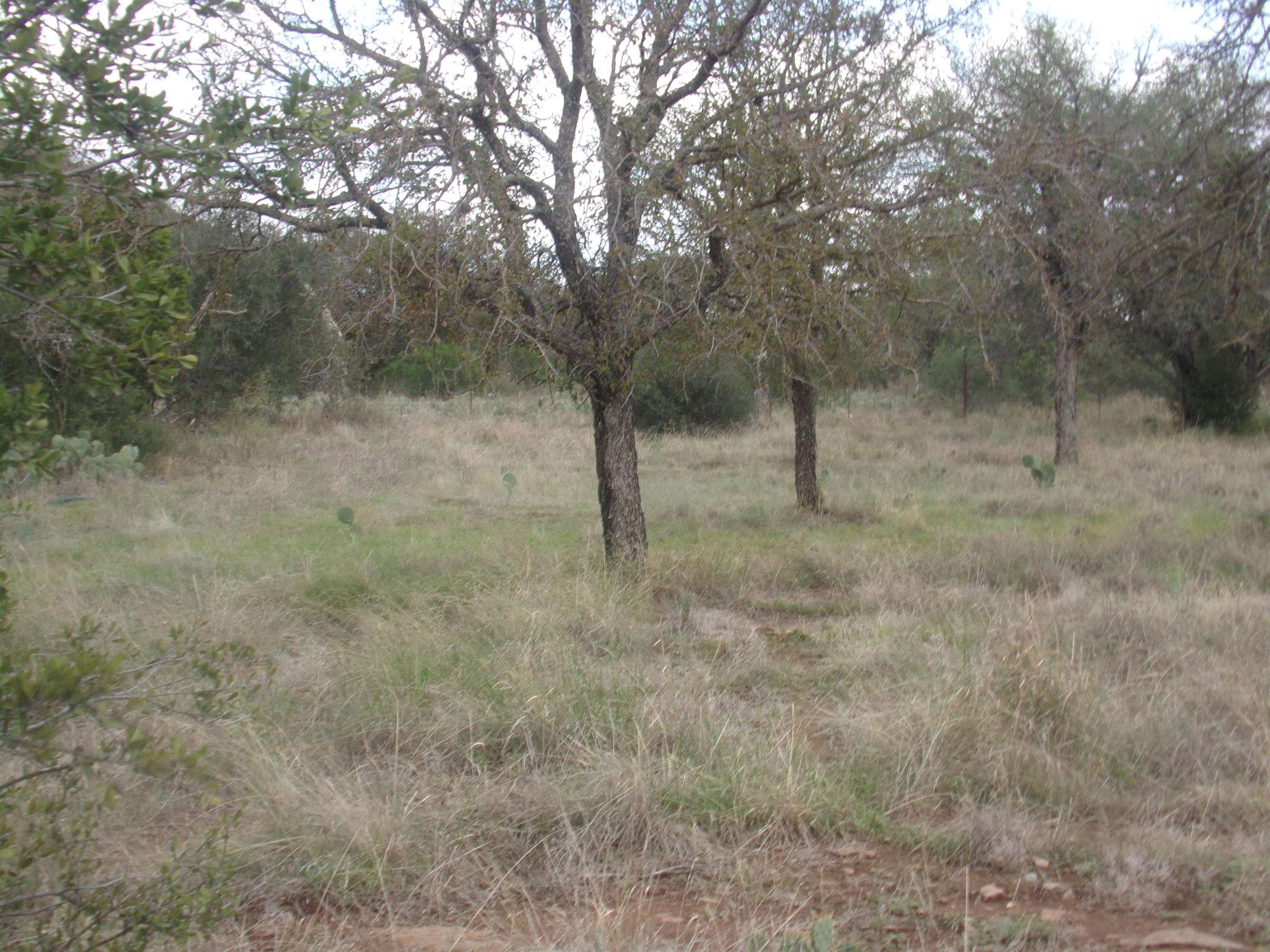 301 Cr 145 Property Photo 11
