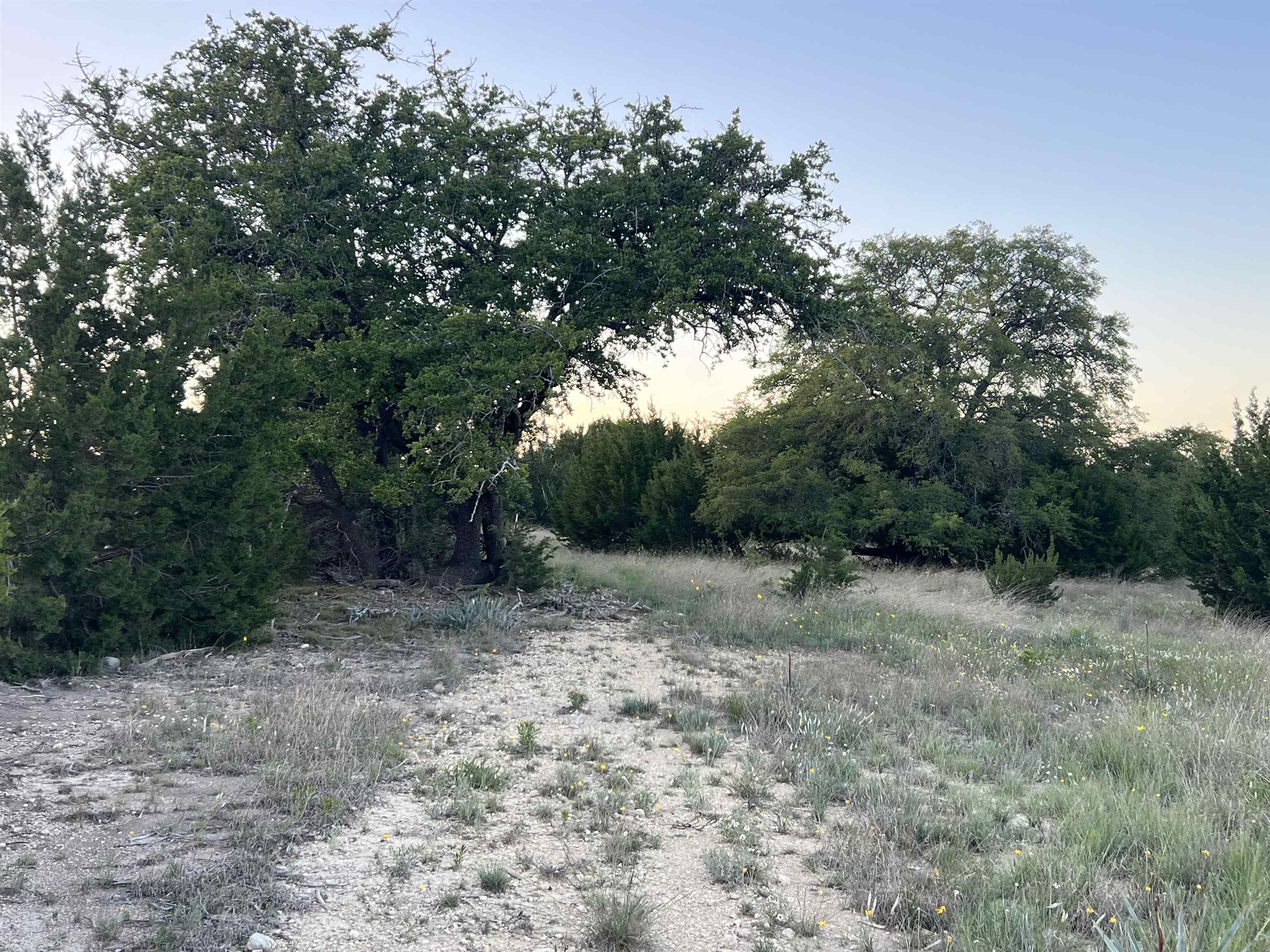0043 W Fm 581 Property Photo 1