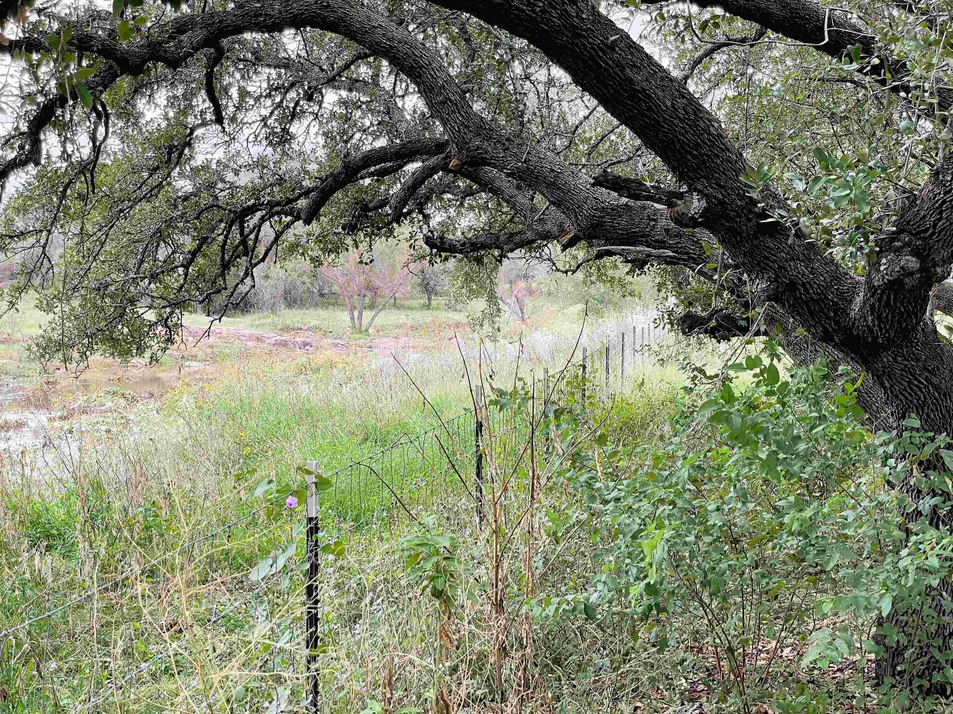 210 County Road 201a Property Photo 23