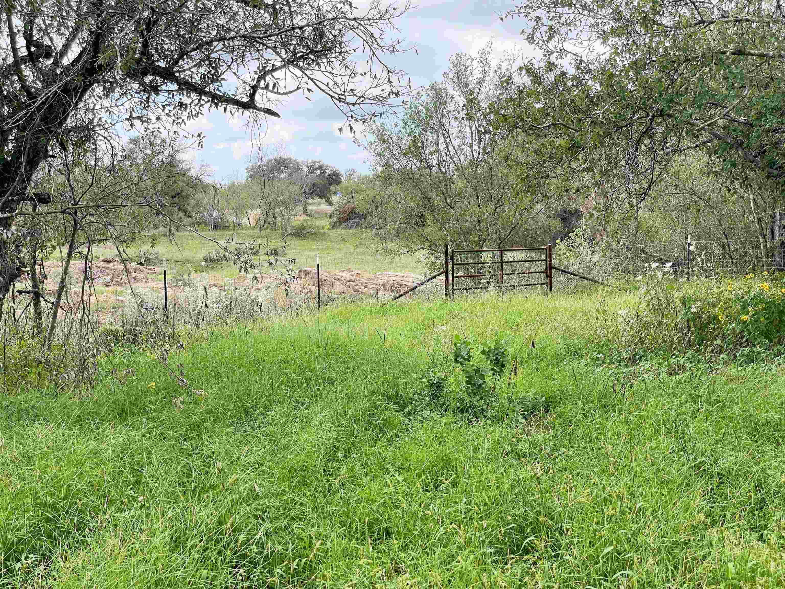 210 County Road 201a Property Photo 24