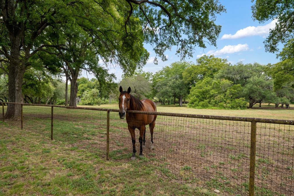 121 Dog Run Property Photo 28