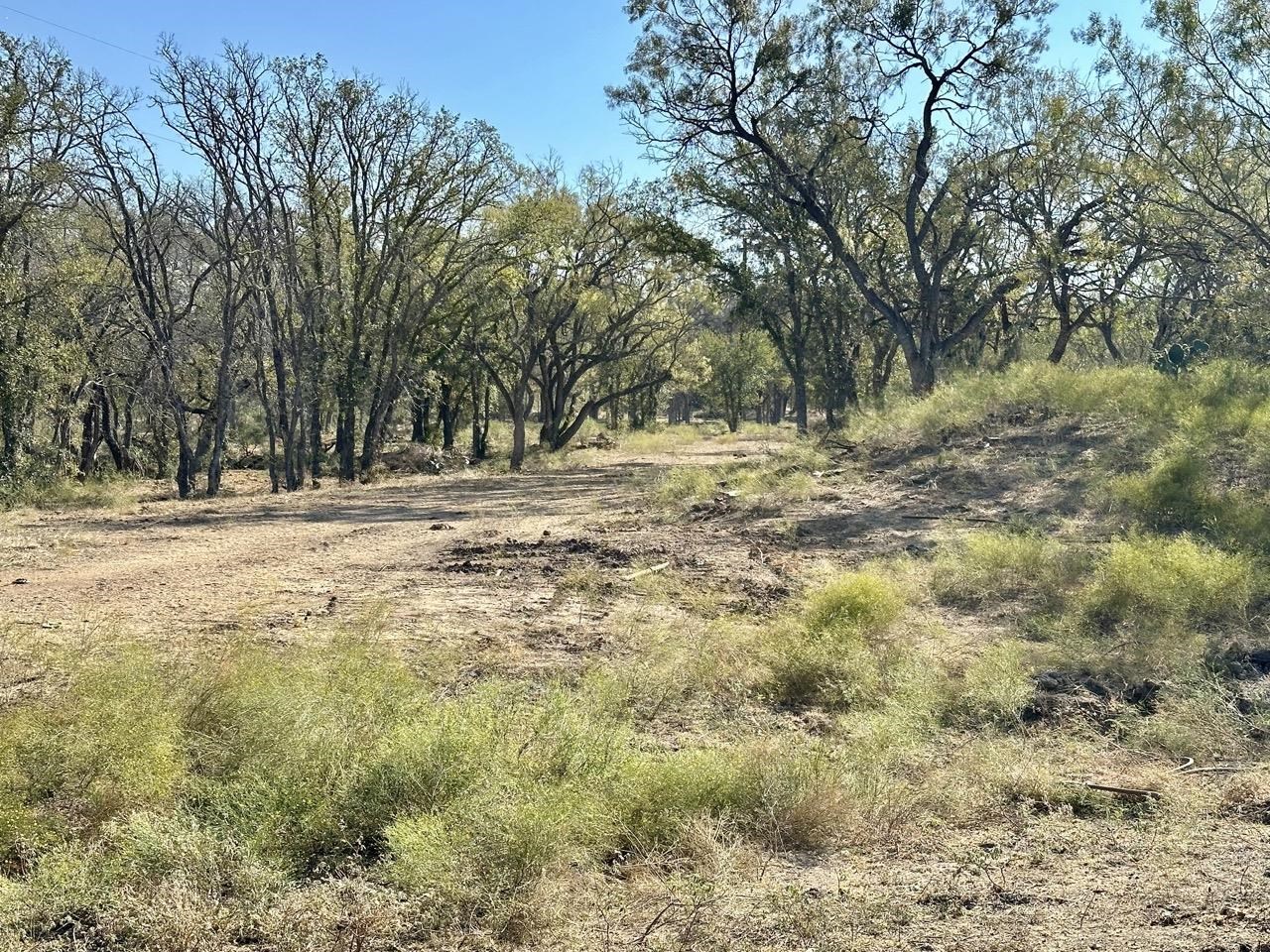 Tract 19 & 20 Cr 120 Property Photo 10