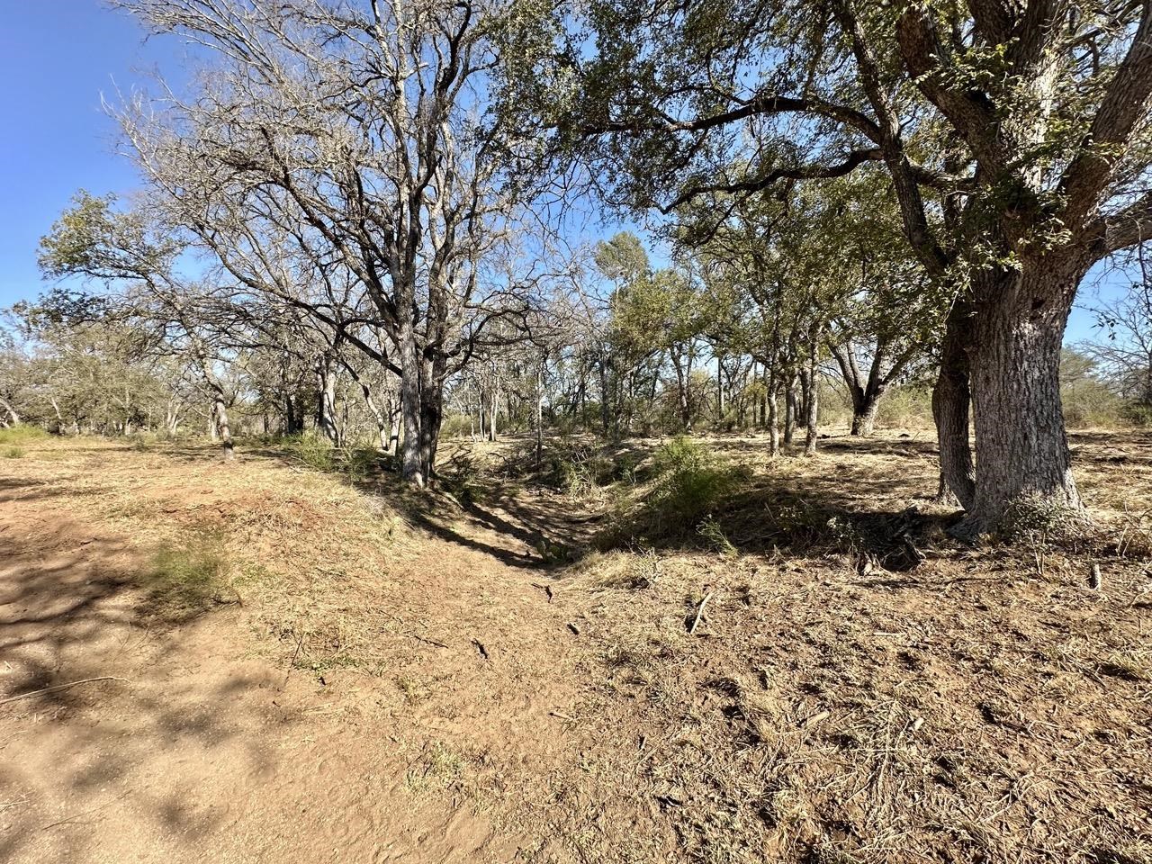 Tract 19 & 20 Cr 120 Property Photo 11