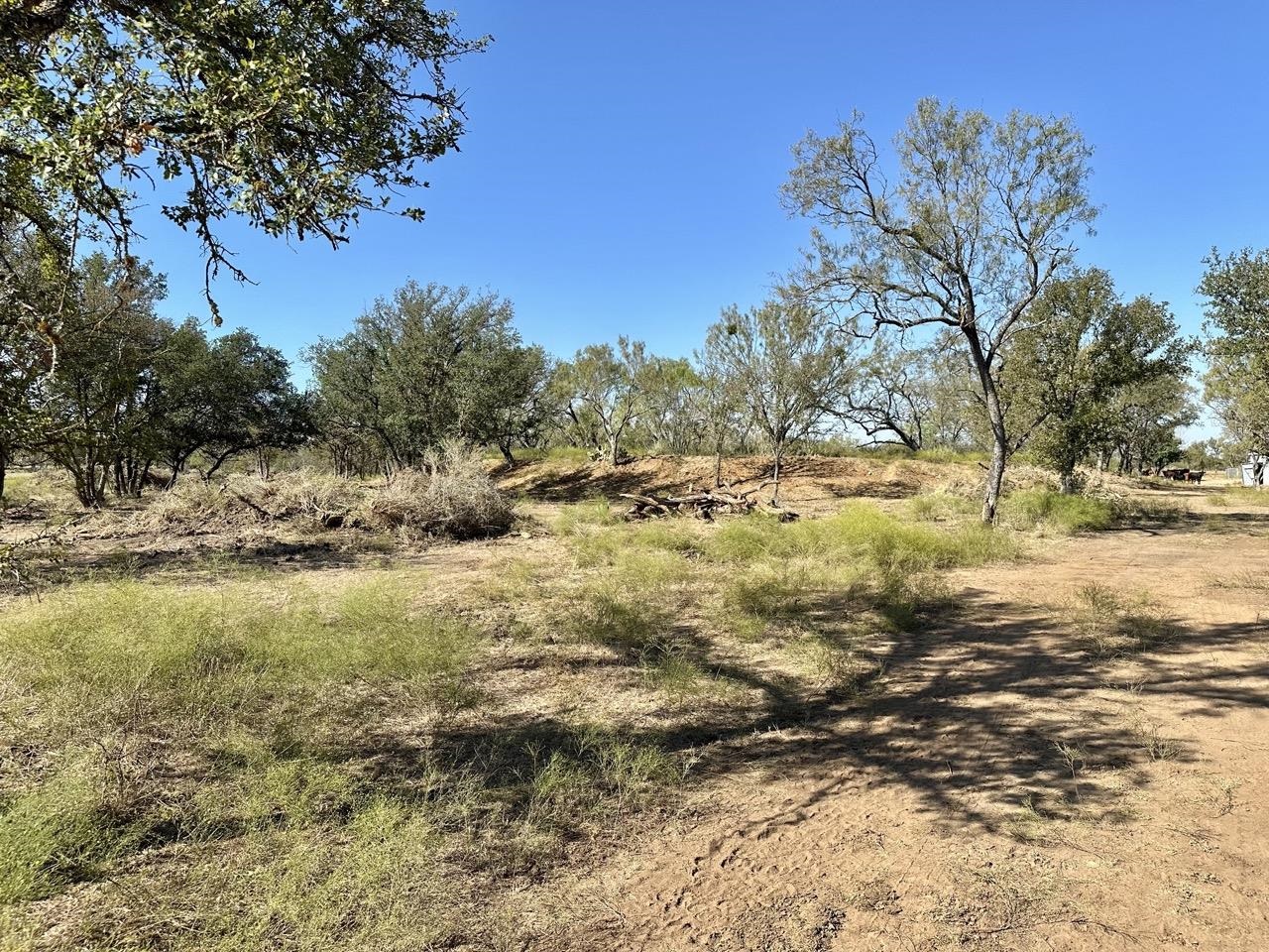 Tract 19 & 20 Cr 120 Property Photo 14