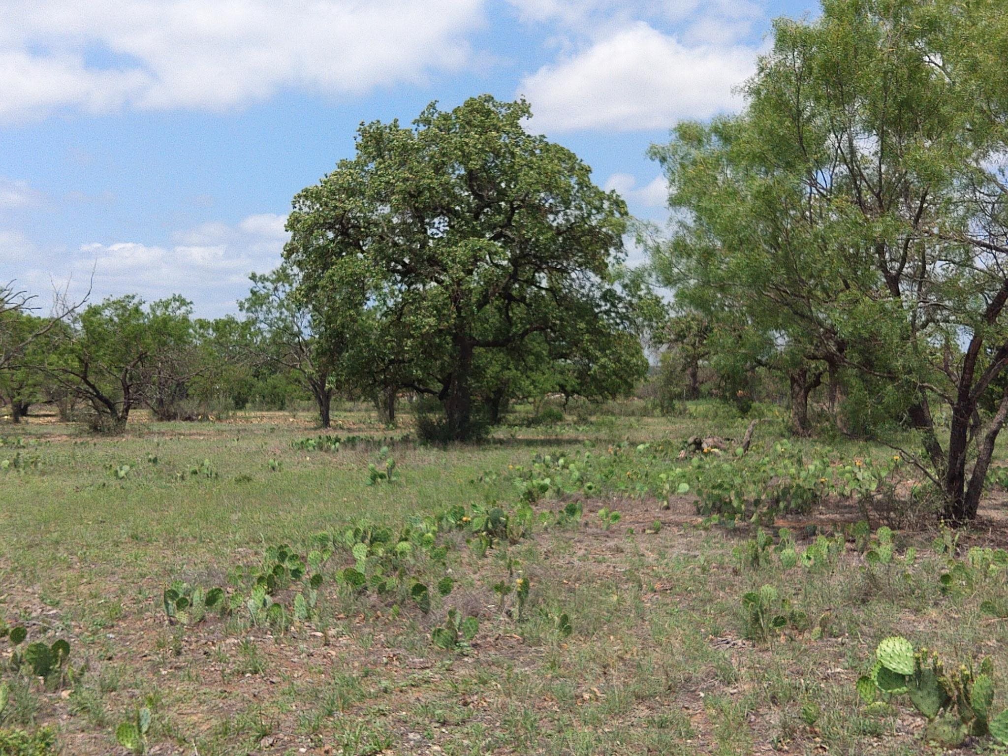 Tbd Fm 1980 Property Photo 1