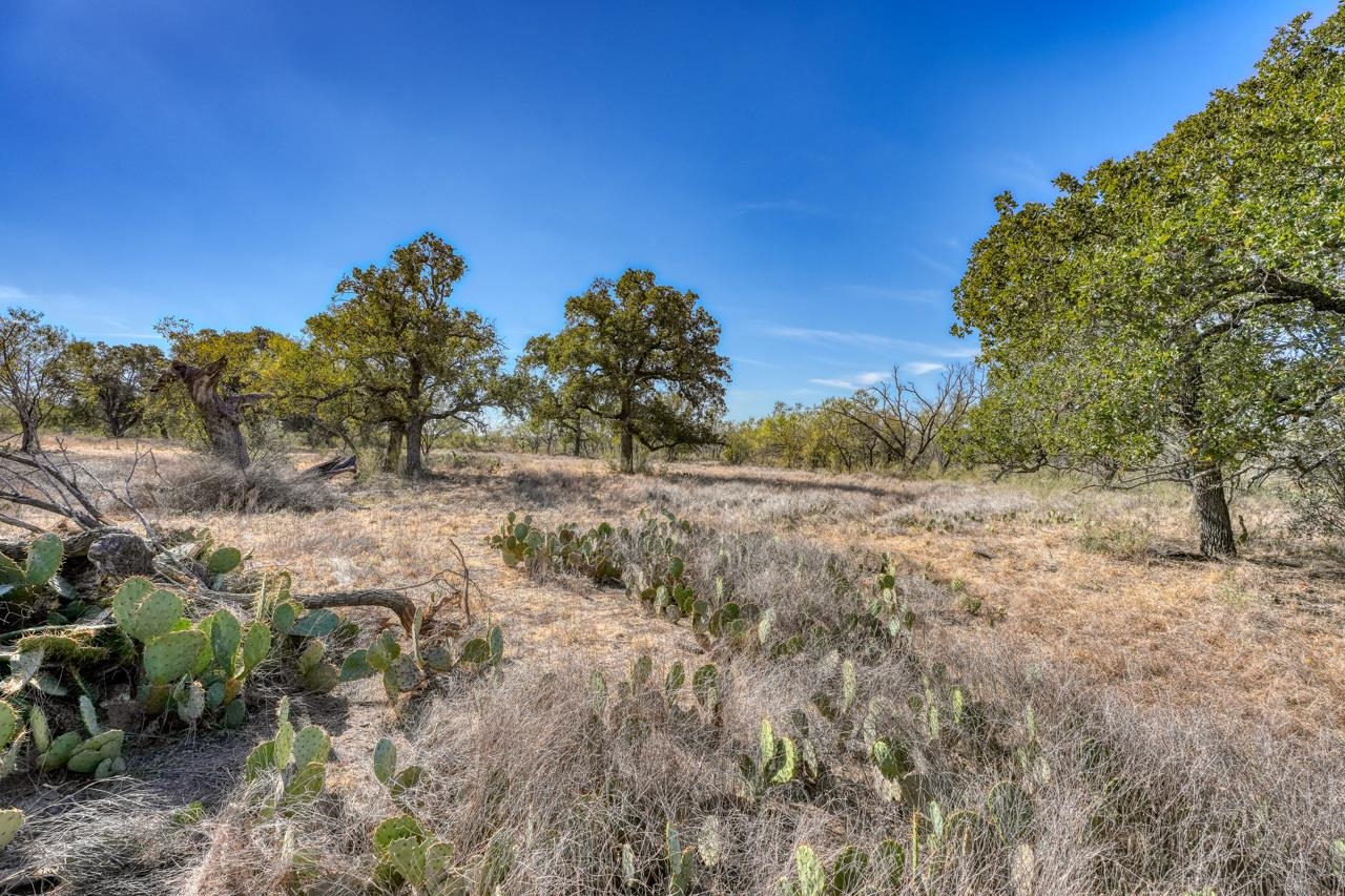 Tbd Fm 1980 Property Photo 2