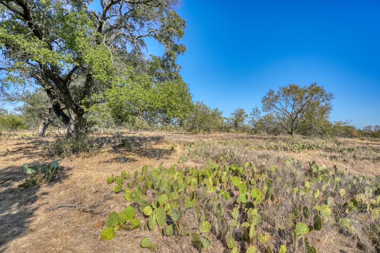 Tbd Fm 1980 Property Photo 3