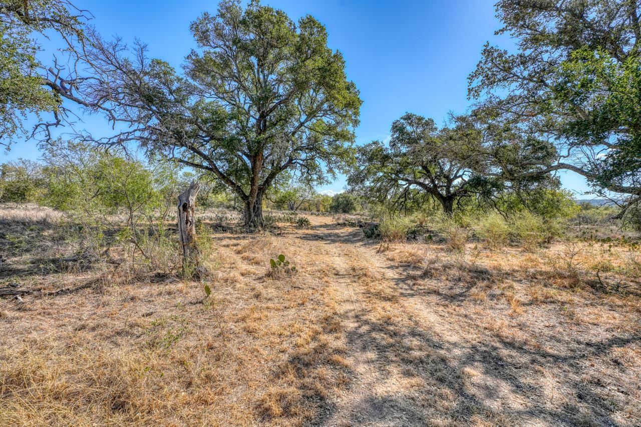Tbd Fm 1980 Property Photo 4
