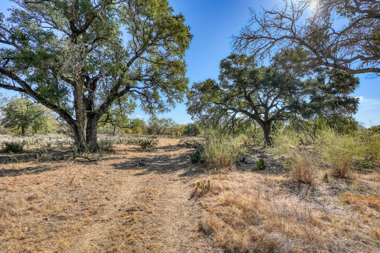 Tbd Fm 1980 Property Photo 10