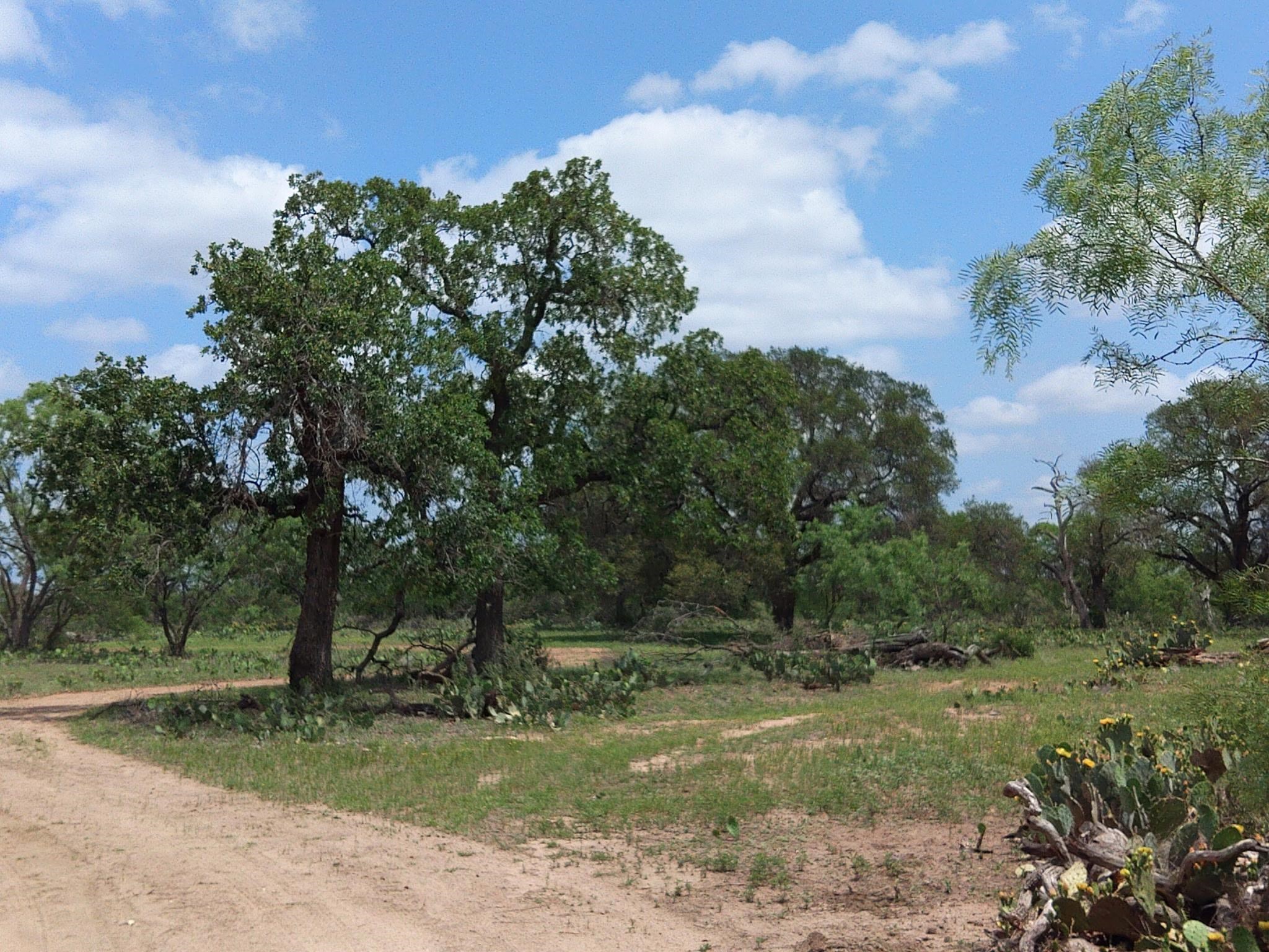Tbd Fm 1980 Property Photo 13