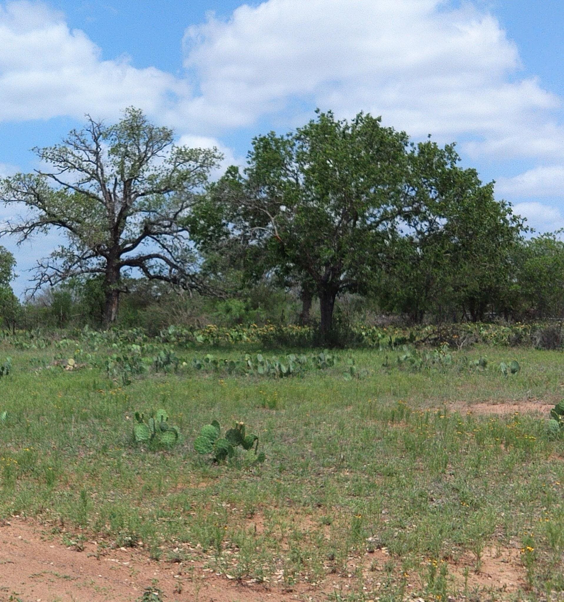 Tbd Fm 1980 Property Photo 18