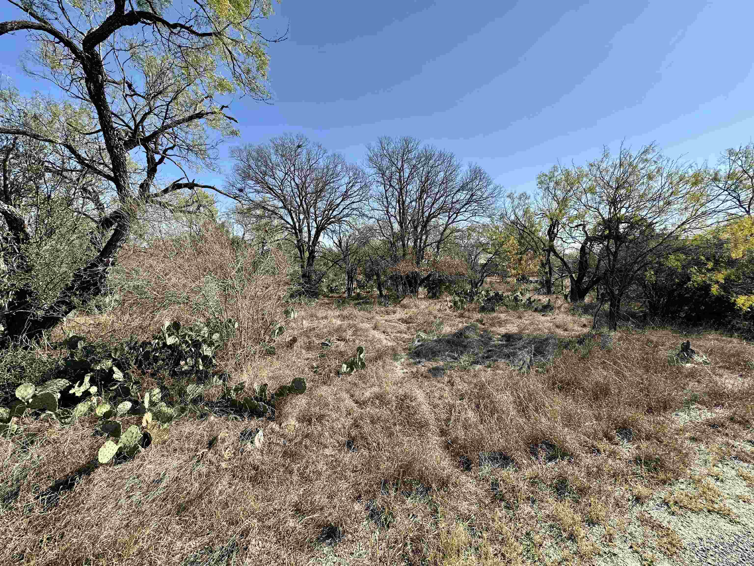 Lot 231 Cactus Trail Property Photo 1