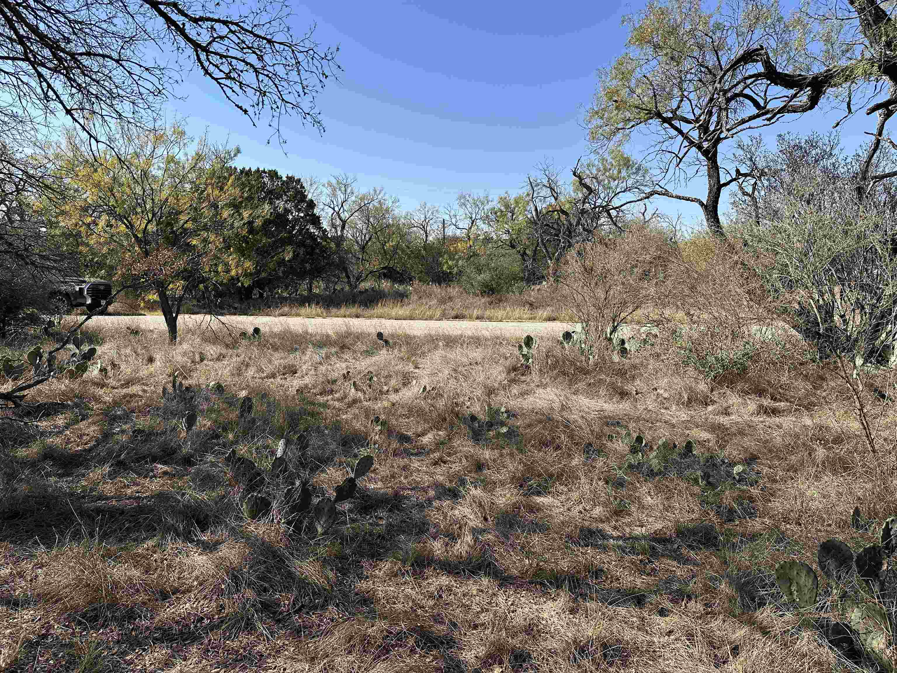 Lot 231 Cactus Trail Property Photo 2