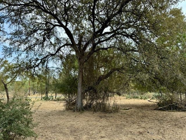 327 E Briar Property Photo 7