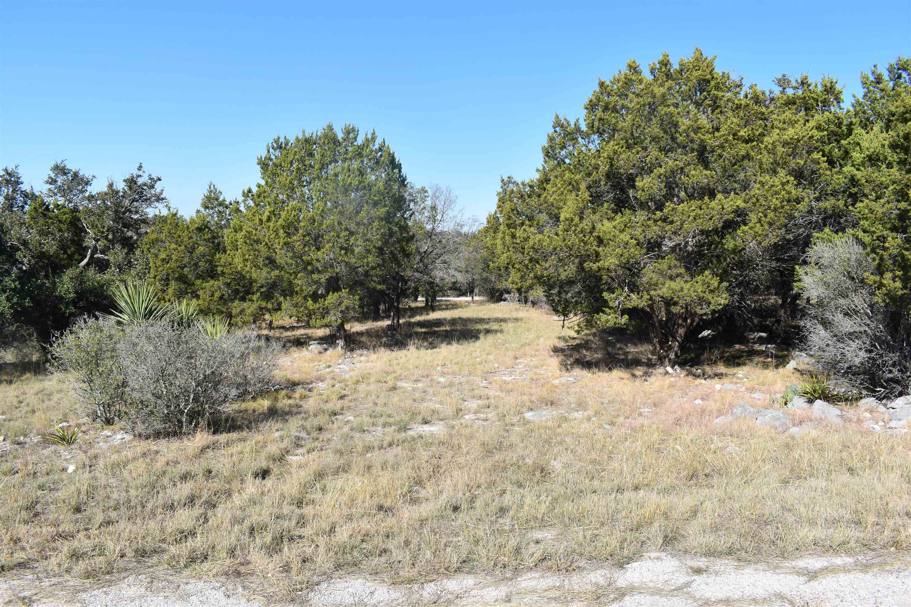 504 Wind Swept Property Photo 1