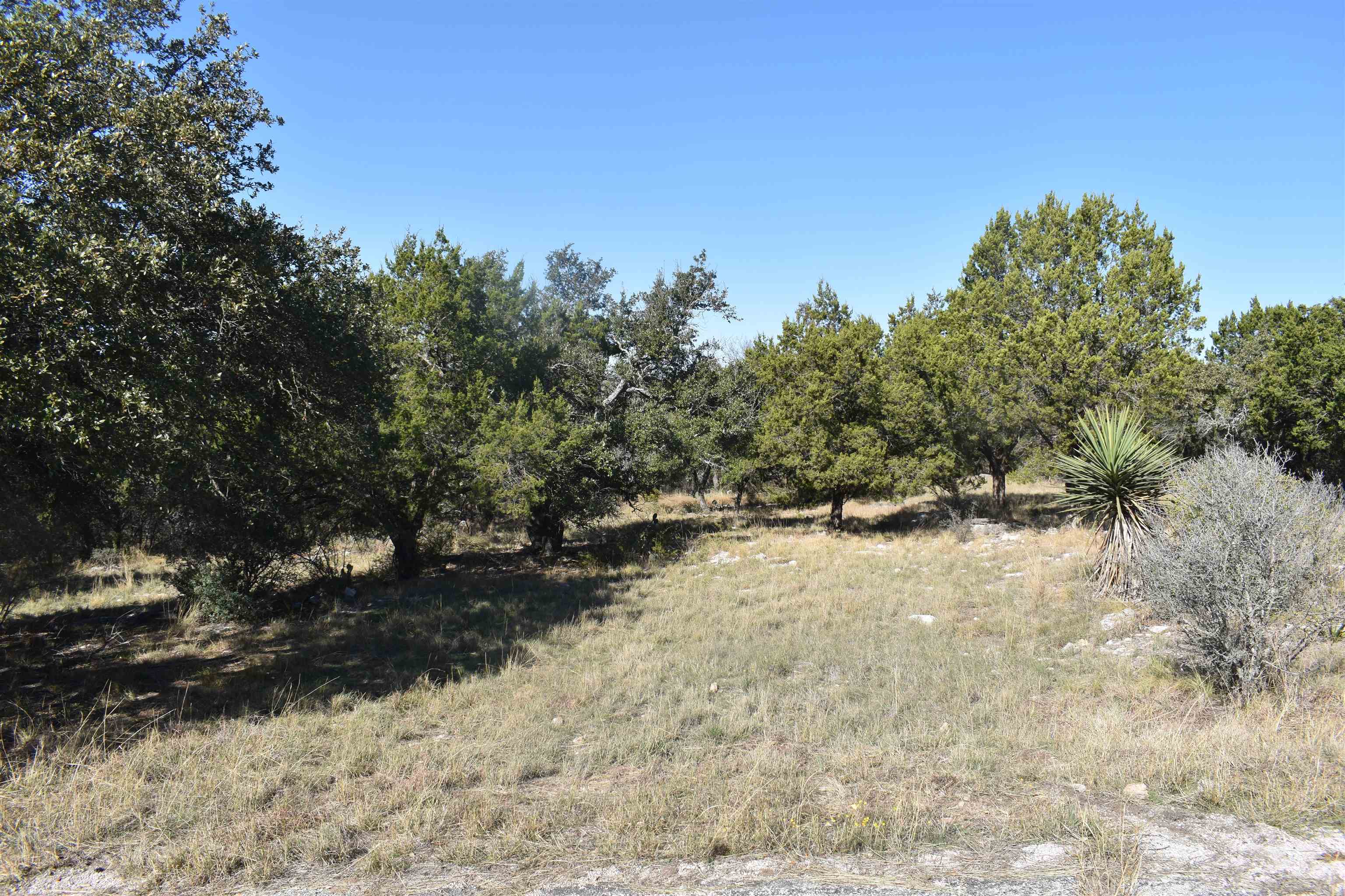 504 Wind Swept Property Photo 3