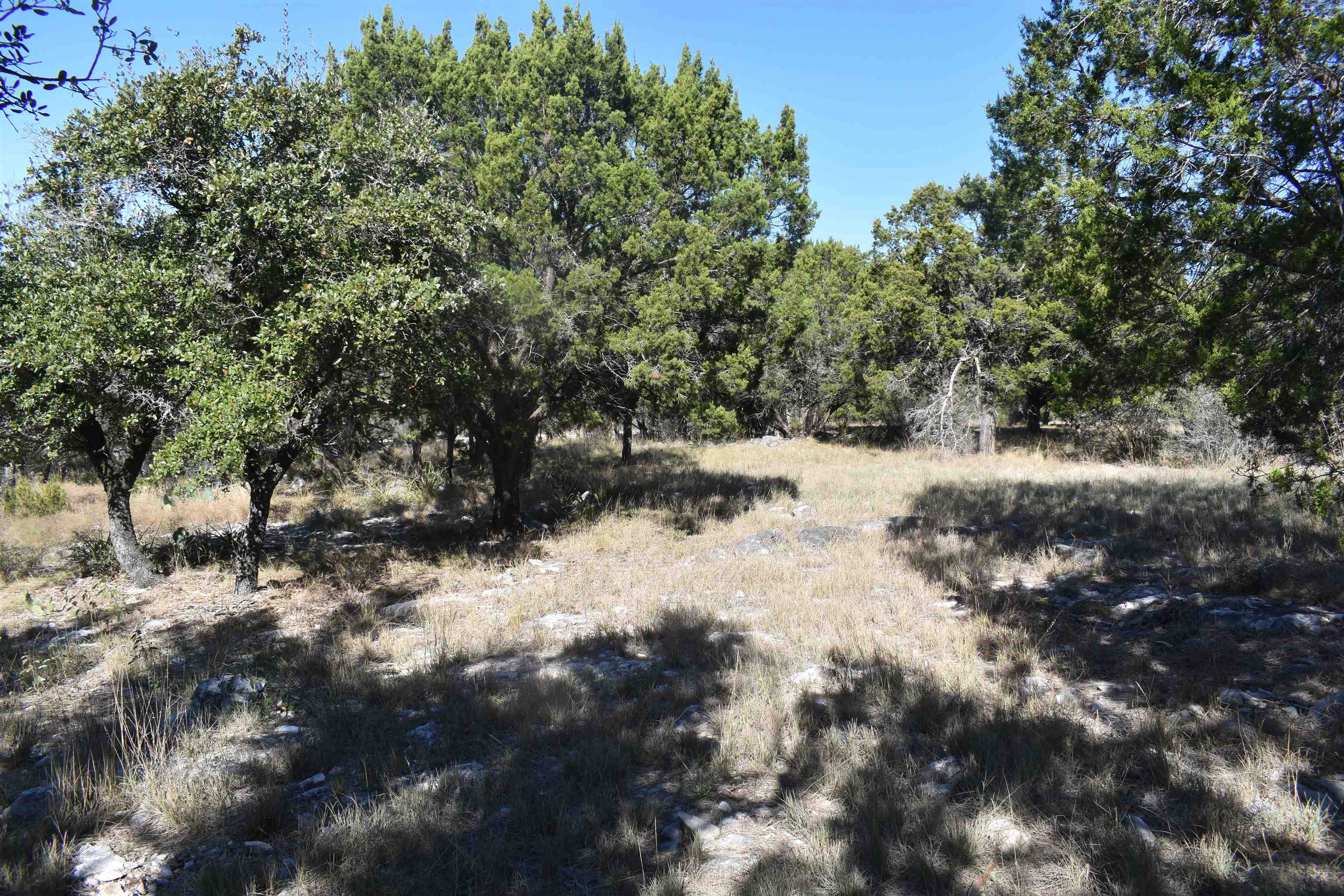 504 Wind Swept Property Photo 4