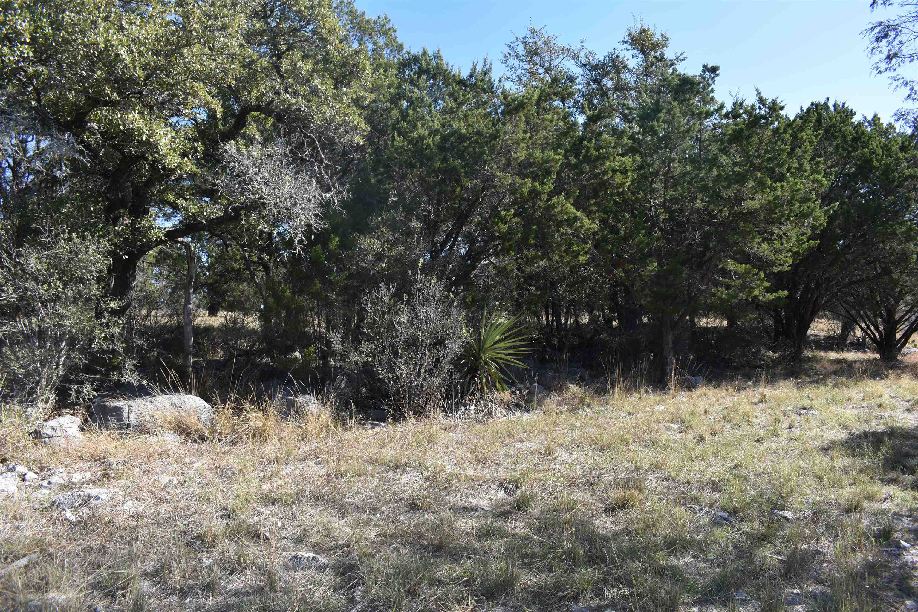 504 Wind Swept Property Photo 5