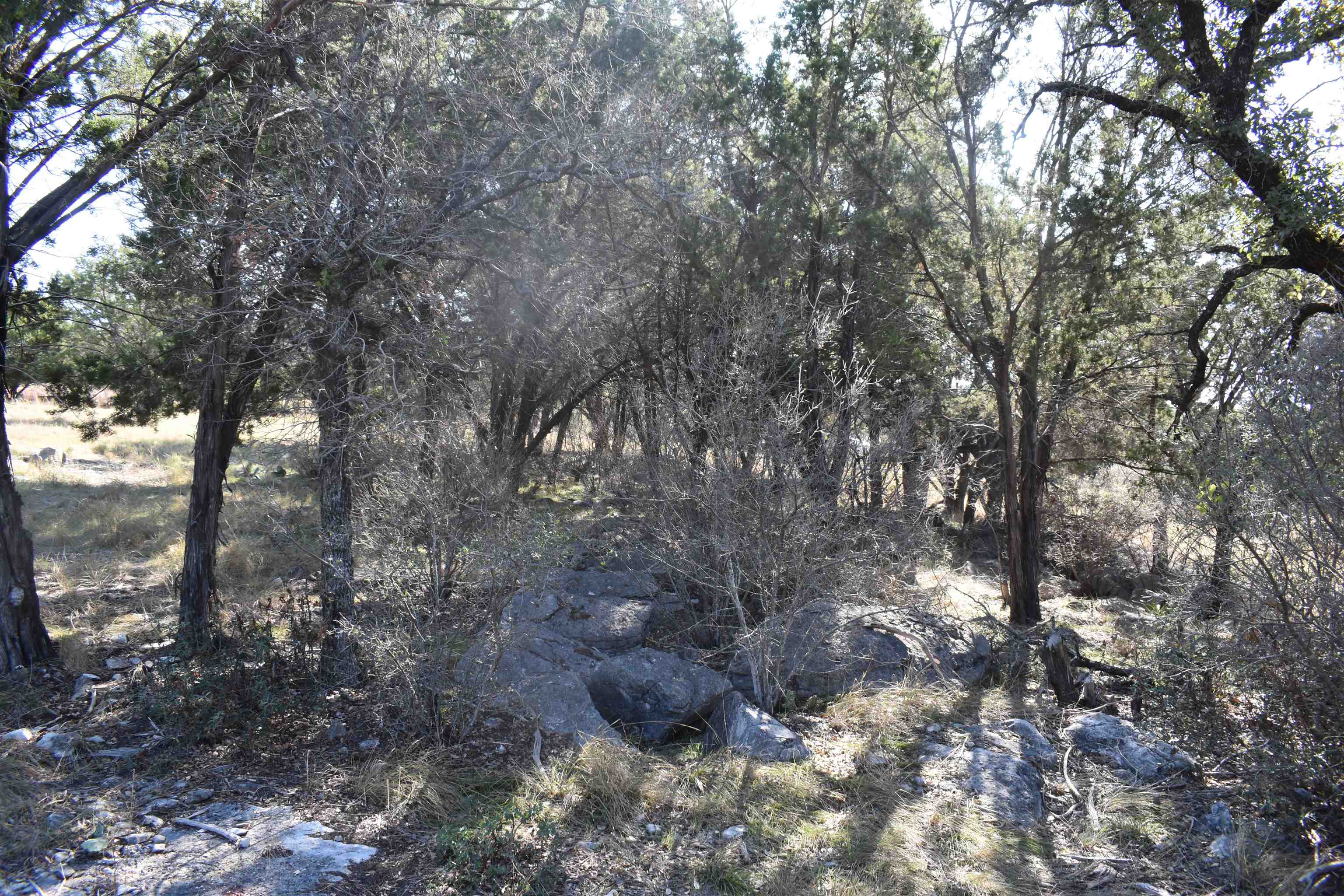 504 Wind Swept Property Photo 6
