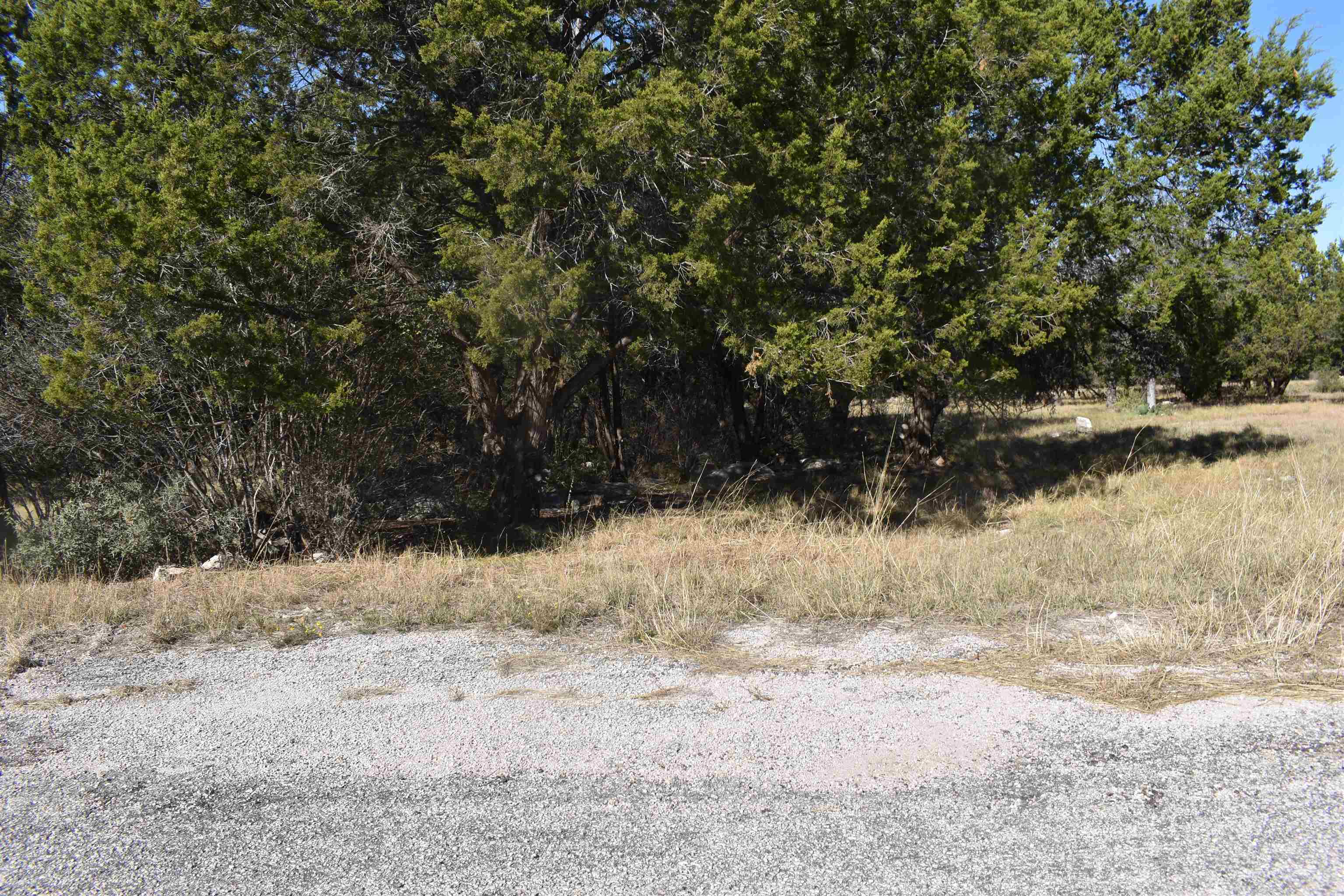 504 Wind Swept Property Photo 7