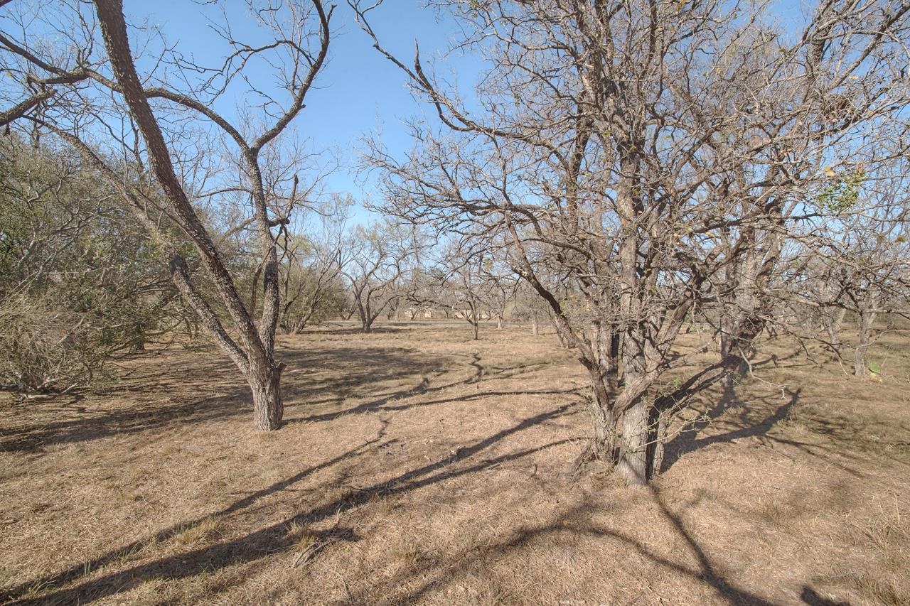 Lot 9005-b Springfield Property Photo 2