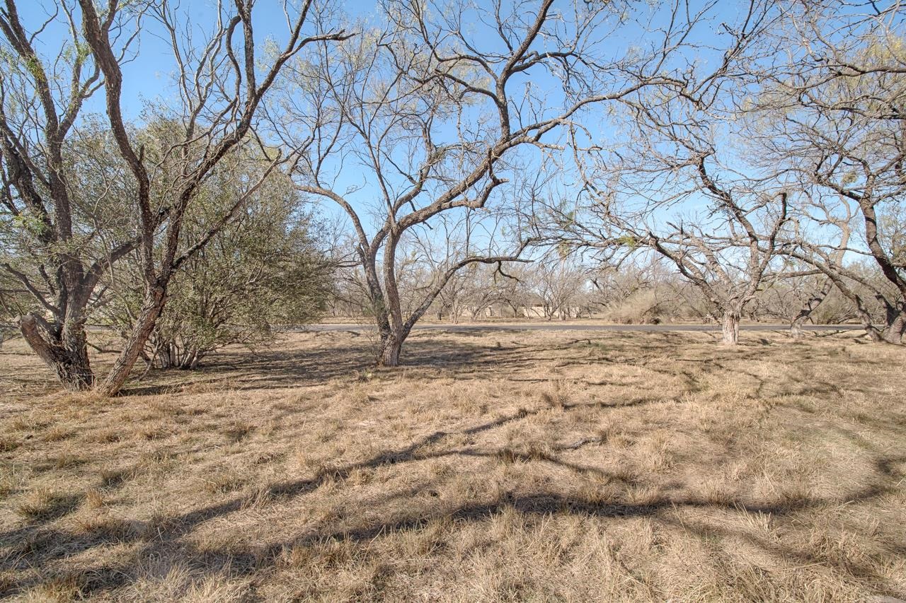 Lot 9005-b Springfield Property Photo 4