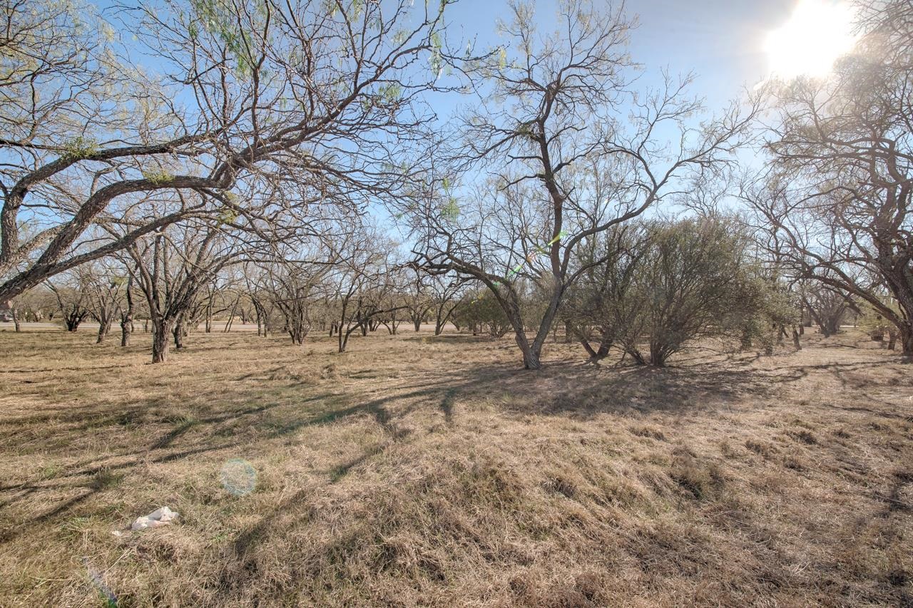 Lot 9005-b Springfield Property Photo 5
